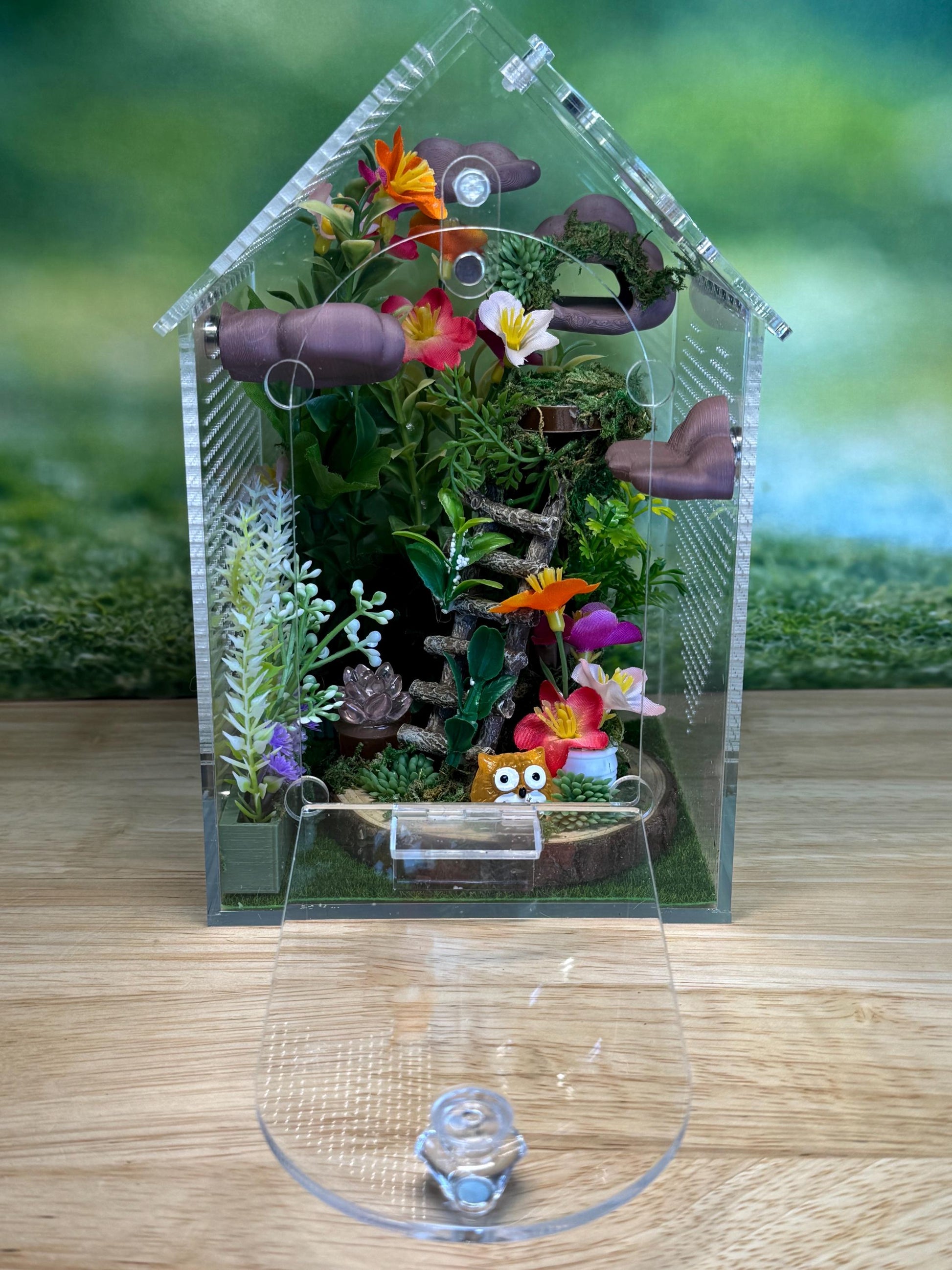 Decorated Acrylic Jumping Spider Enclosure, Front Opening Habitat (8x5x5)