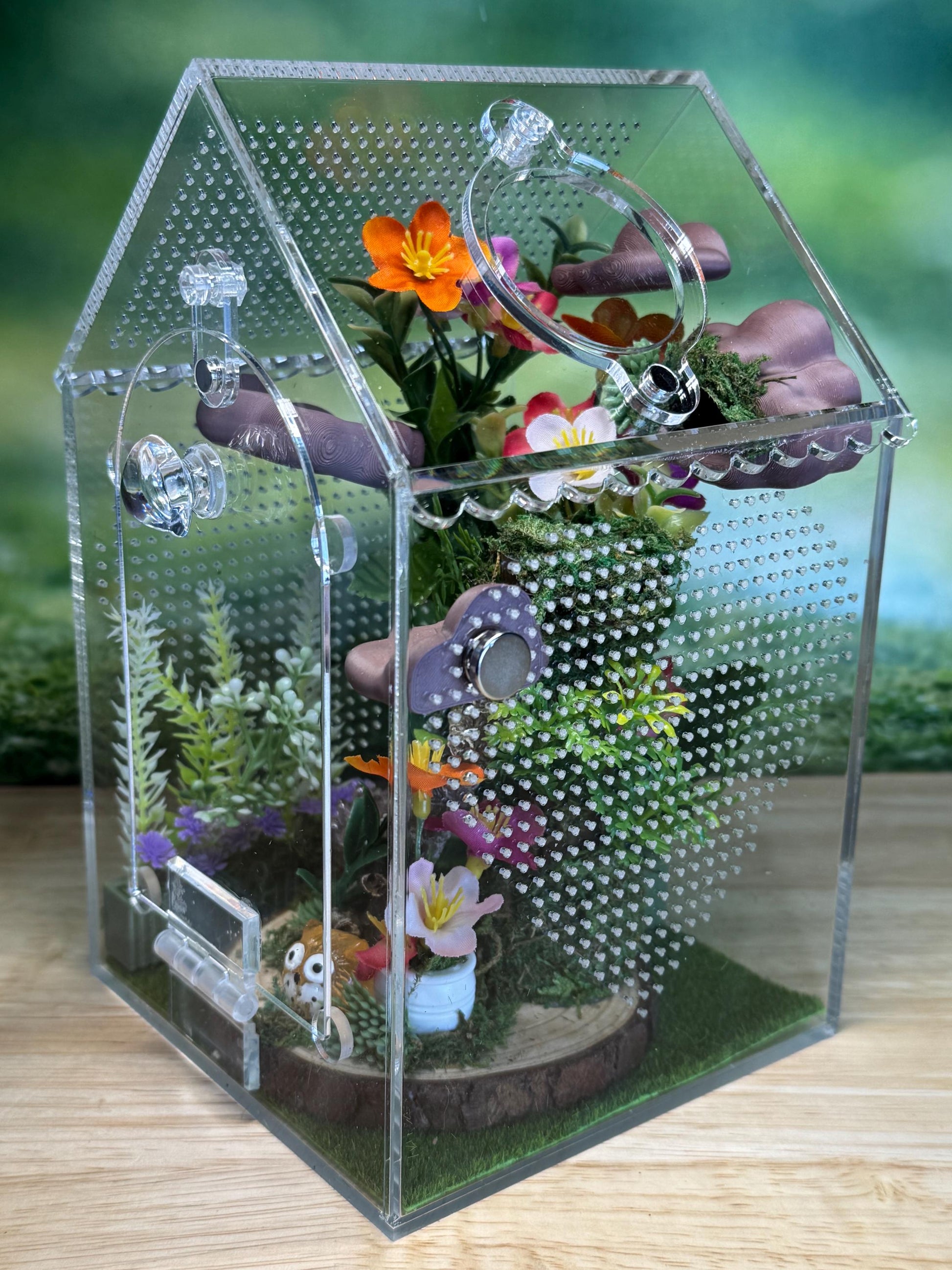 Decorated Acrylic Jumping Spider Enclosure, Front Opening Habitat (8x5x5)