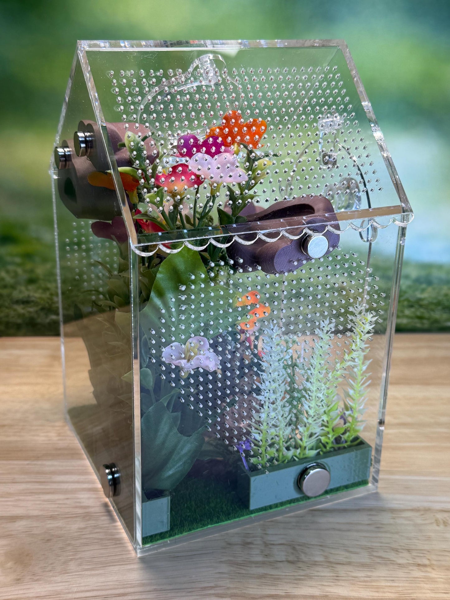 Decorated Acrylic Jumping Spider Enclosure, Front Opening Habitat (8x5x5)