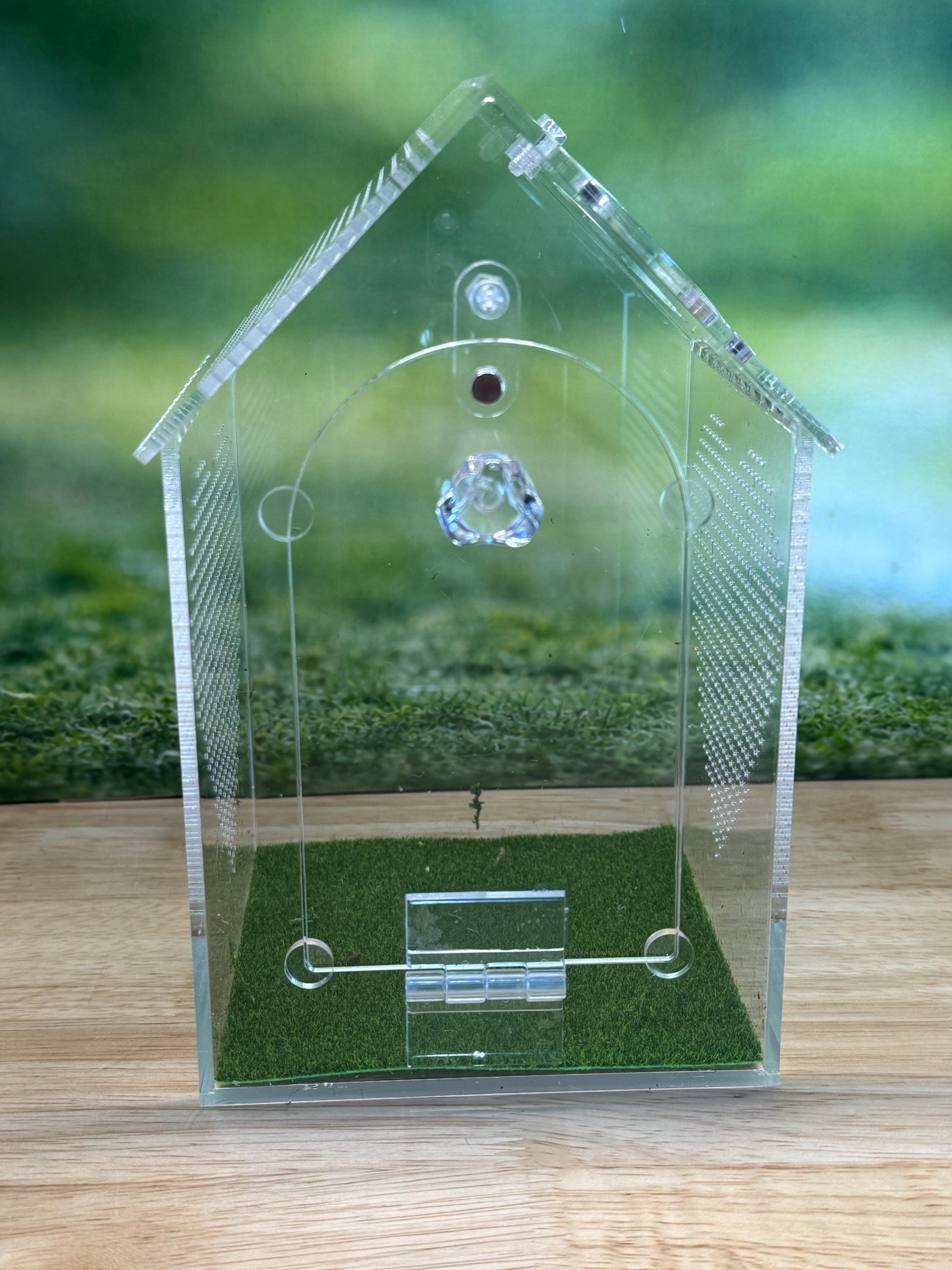 Decorated Acrylic Jumping Spider Enclosure, Front Opening Habitat (8x5x5)