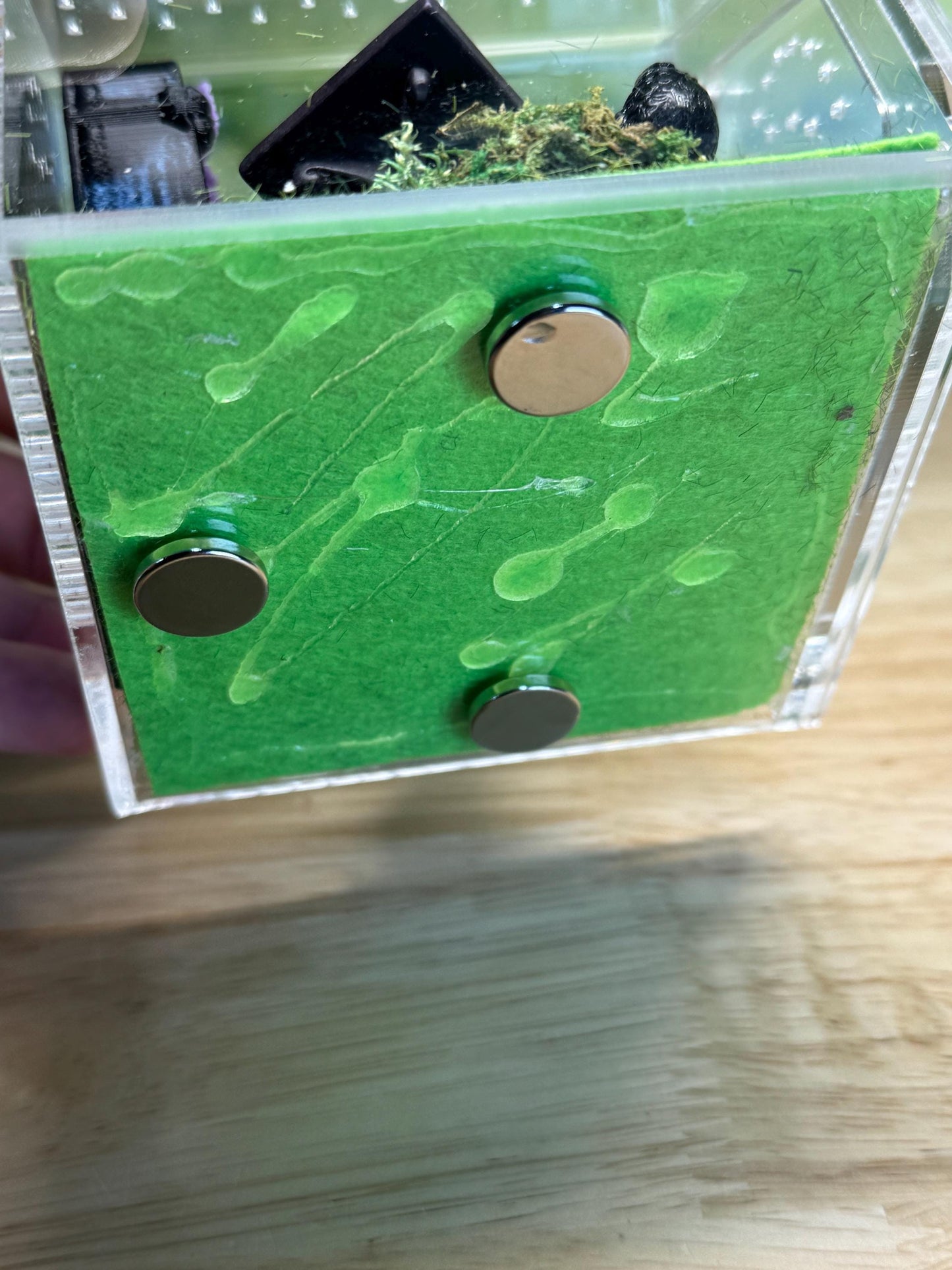 Decorated Acrylic Jumping Spider Enclosure, Front Opening Habitat 3.75x3.75x3.75