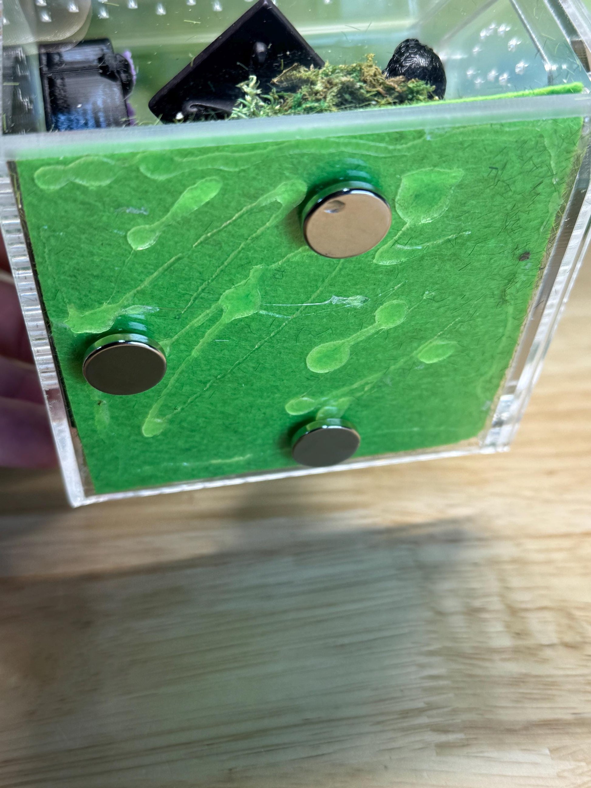 Decorated Acrylic Jumping Spider Enclosure, Front Opening Habitat 3.75x3.75x3.75