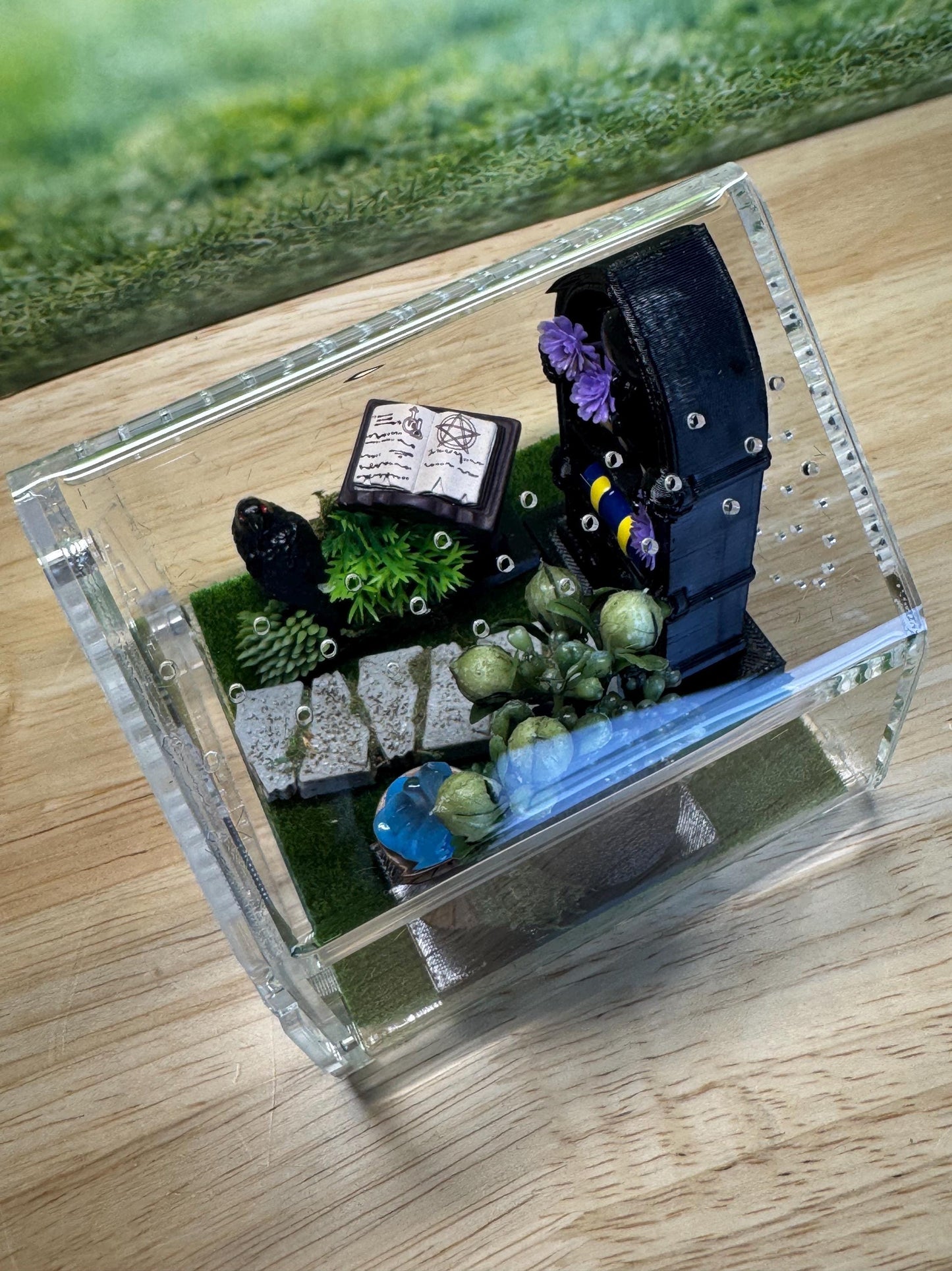 Decorated Acrylic Jumping Spider Enclosure, Front Opening Habitat 3.75x3.75x3.75