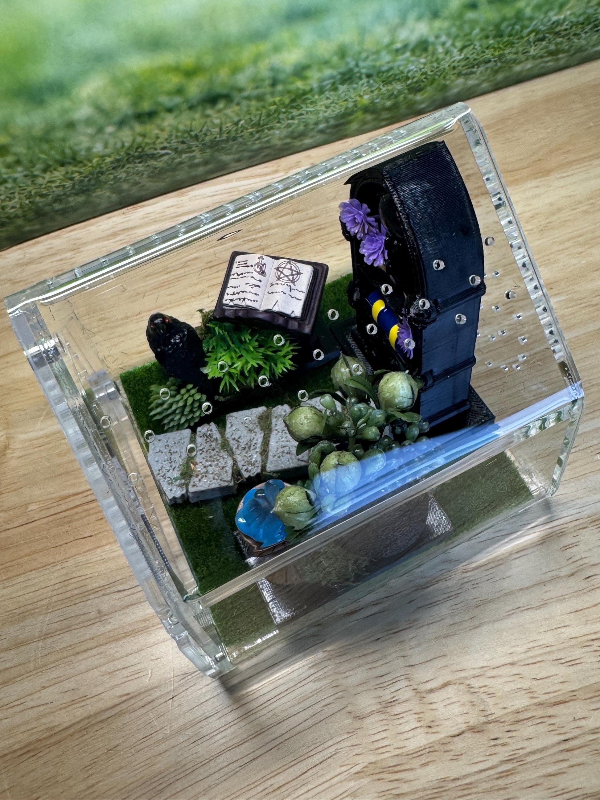 Decorated Acrylic Jumping Spider Enclosure, Front Opening Habitat 3.75x3.75x3.75