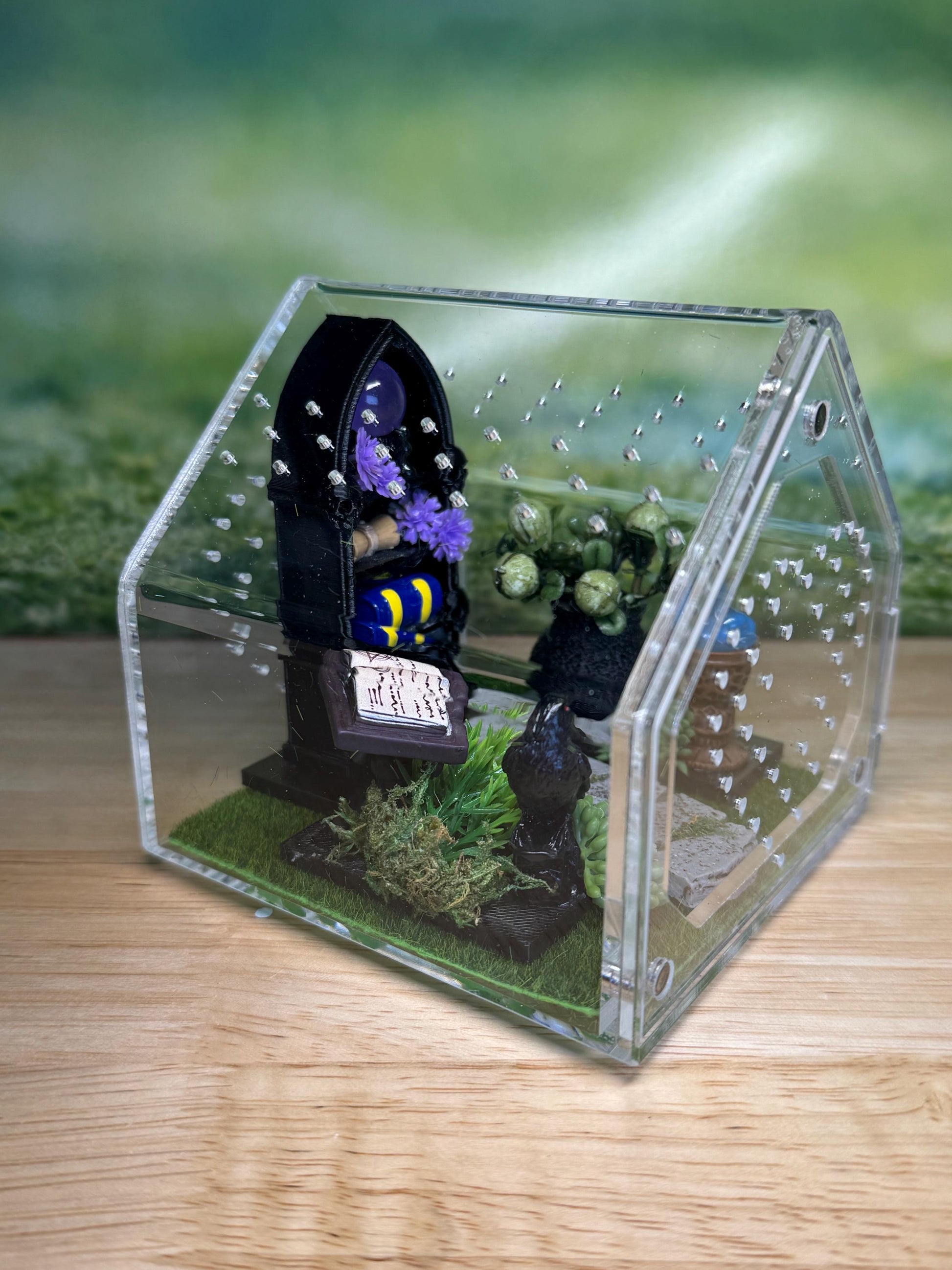 Decorated Acrylic Jumping Spider Enclosure, Front Opening Habitat 3.75x3.75x3.75