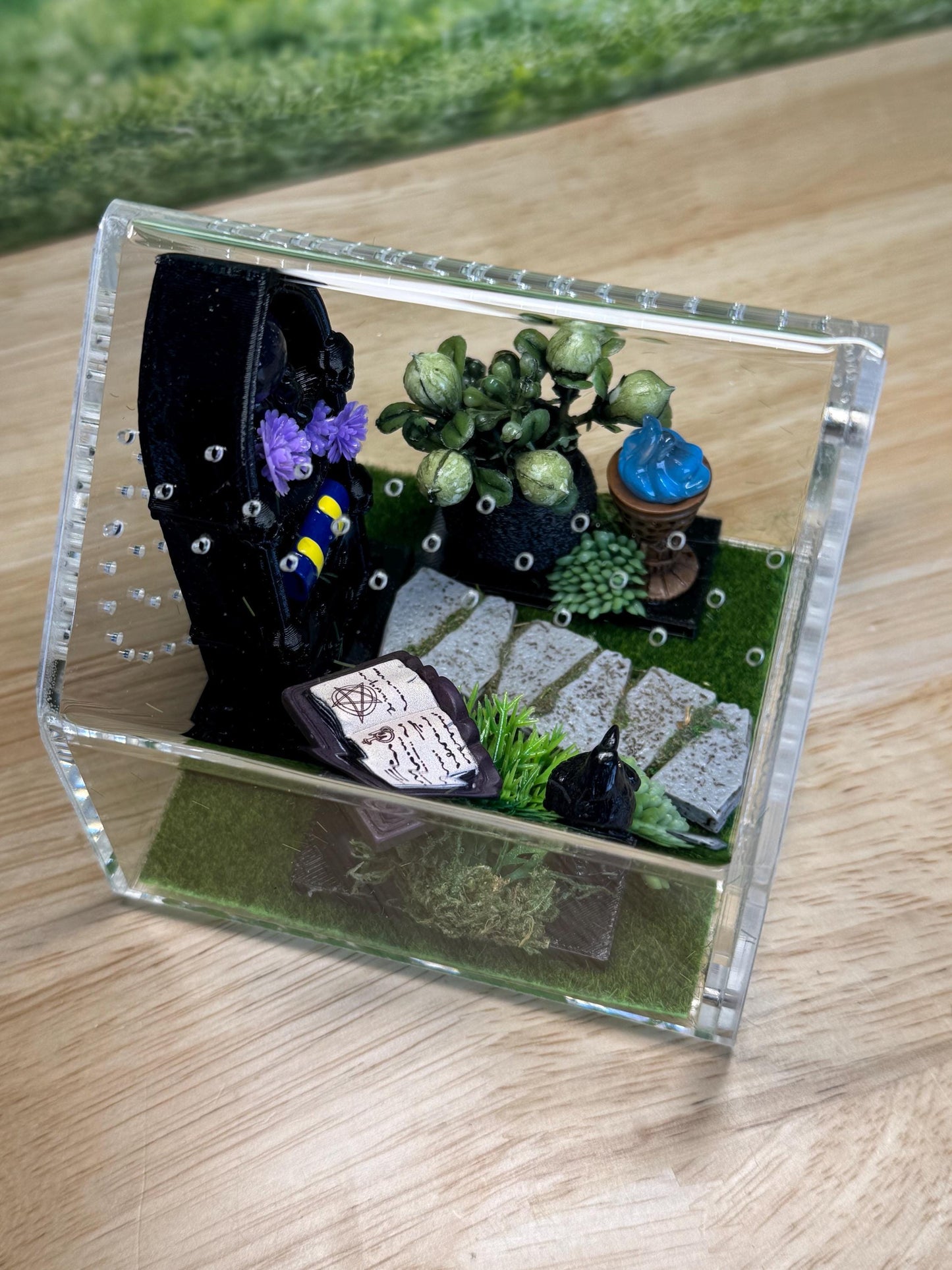 Decorated Acrylic Jumping Spider Enclosure, Front Opening Habitat 3.75x3.75x3.75