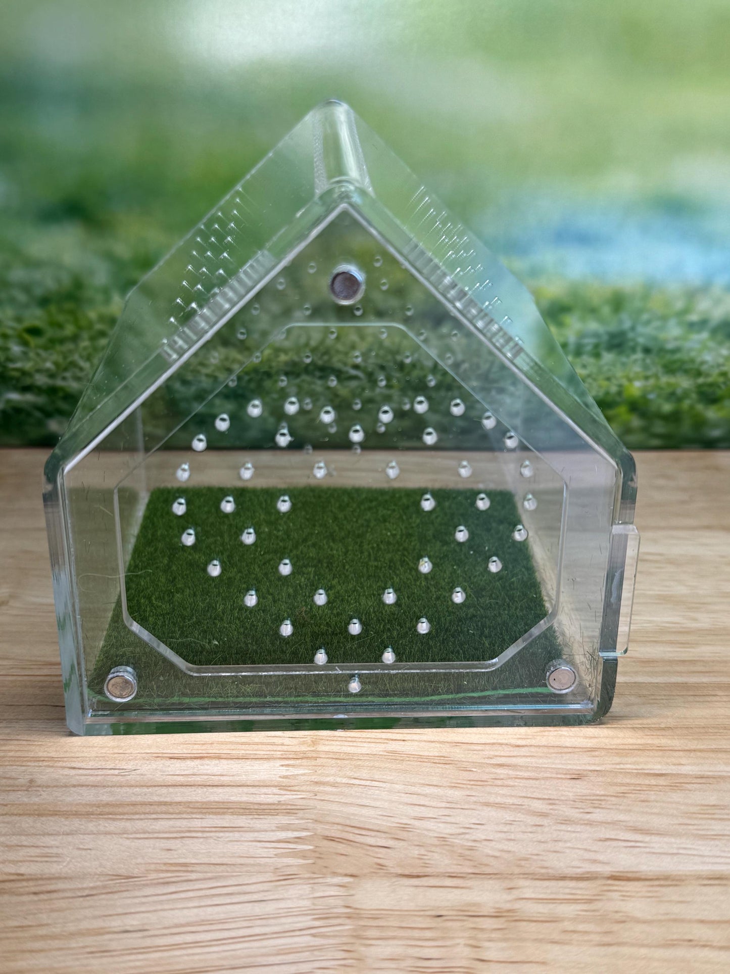 Decorated Acrylic Jumping Spider Enclosure, Front Opening Habitat 3.75x3.75x3.75