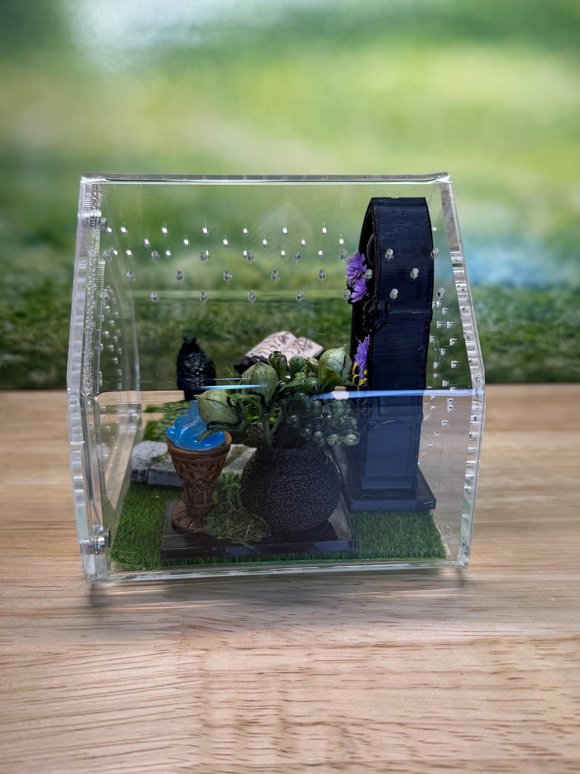 Decorated Acrylic Jumping Spider Enclosure, Front Opening Habitat 3.75x3.75x3.75