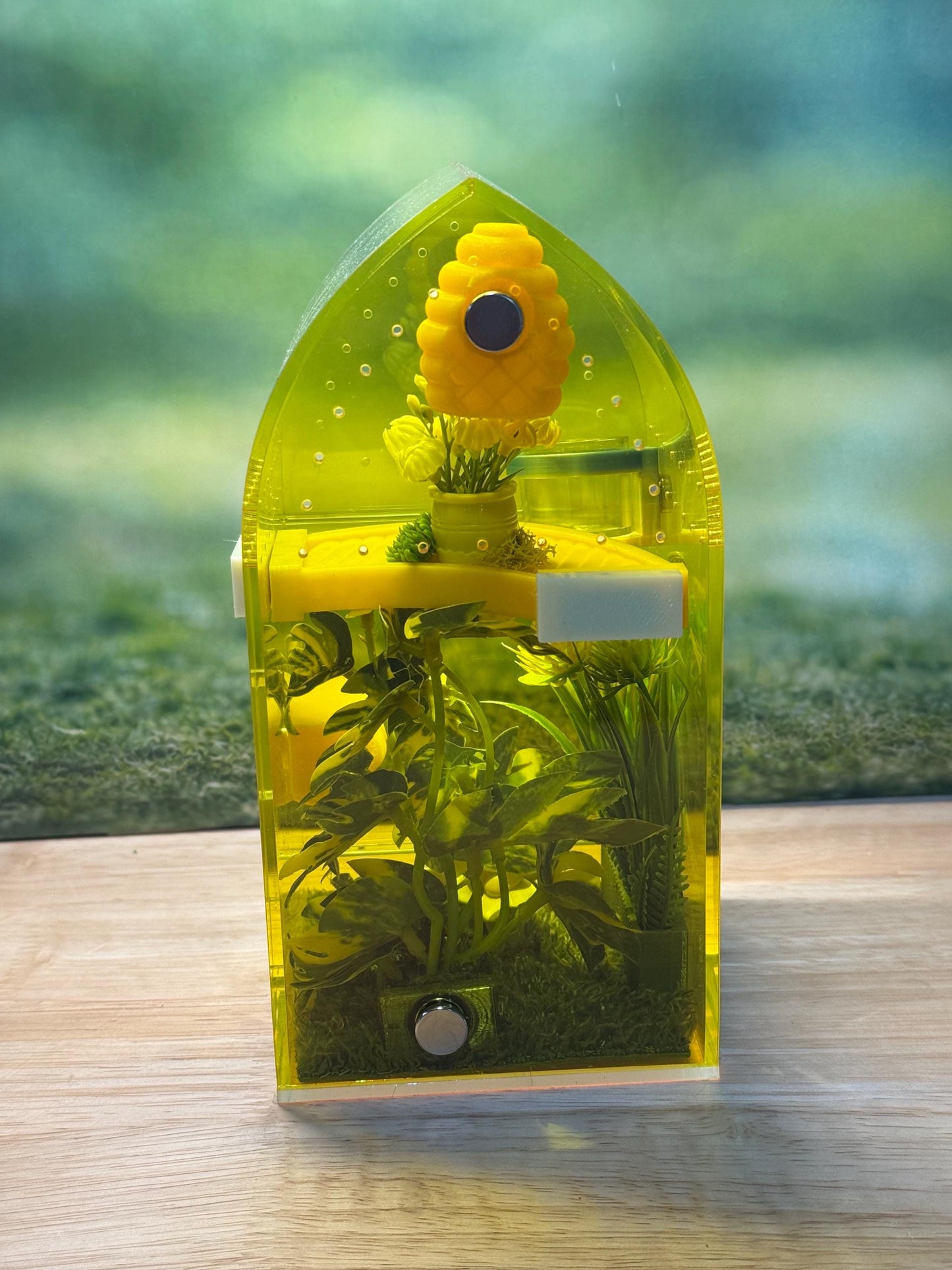 Decorated Acrylic Jumping Spider Enclosure, Front Opening Habitat (8x4x4)