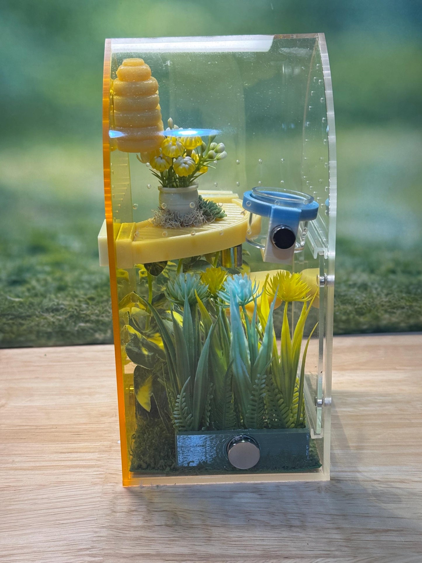 Decorated Acrylic Jumping Spider Enclosure, Front Opening Habitat (8x4x4)