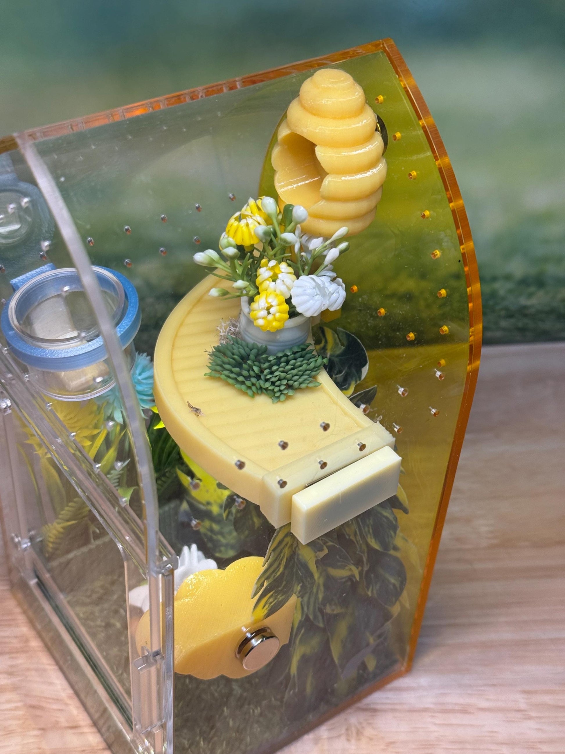 Decorated Acrylic Jumping Spider Enclosure, Front Opening Habitat (8x4x4)