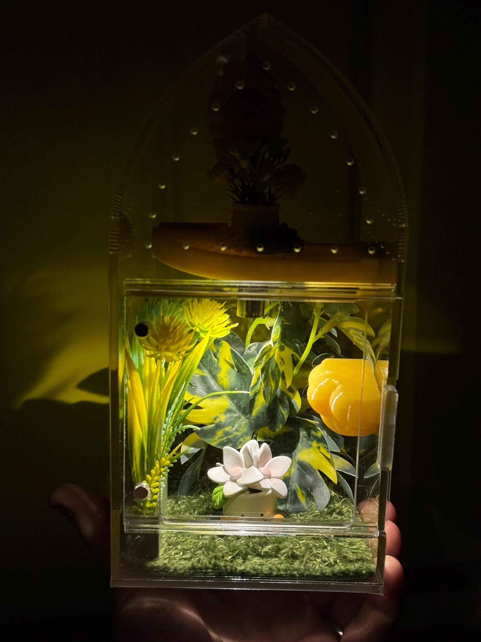 Decorated Acrylic Jumping Spider Enclosure, Front Opening Habitat (8x4x4)