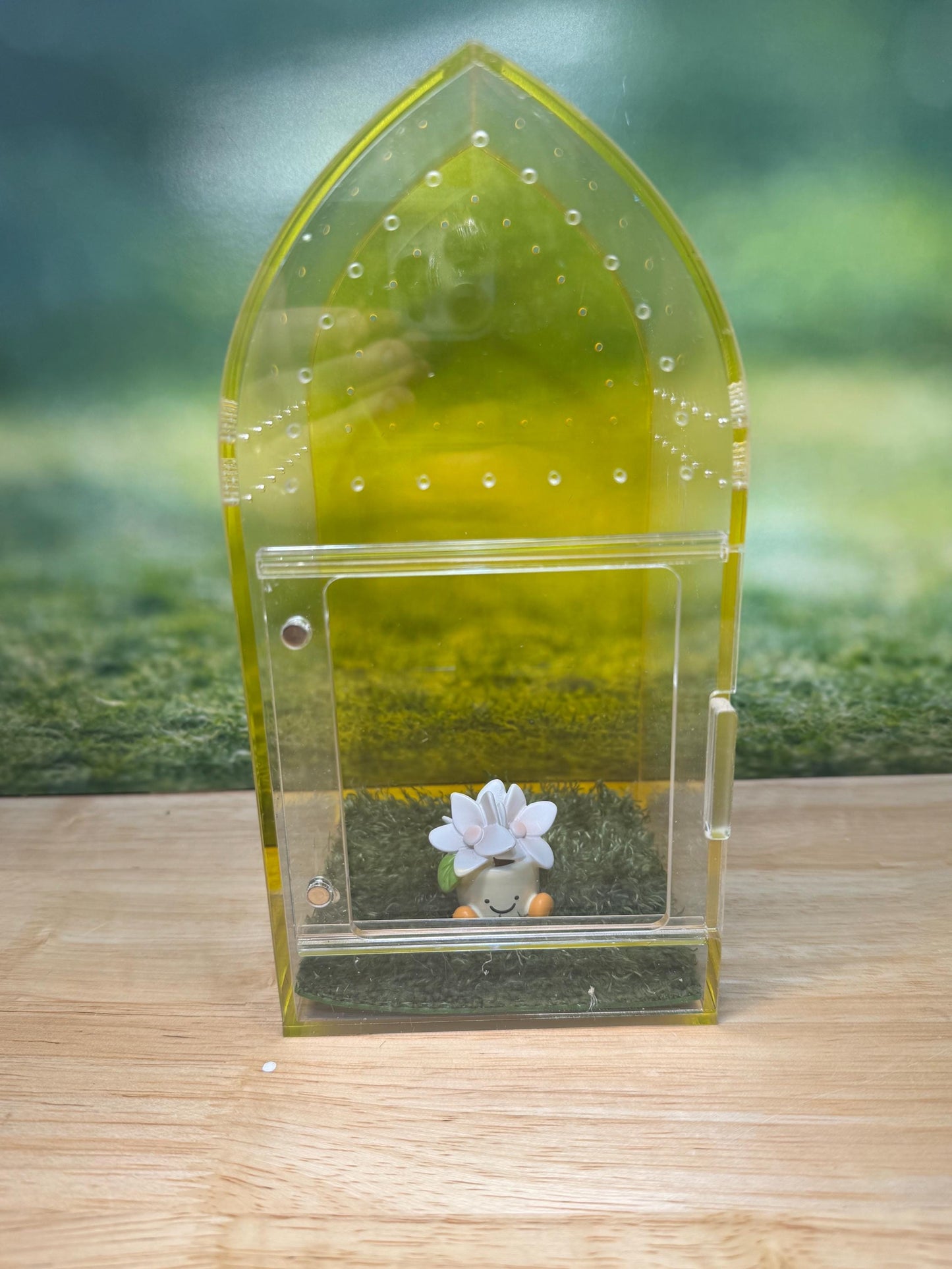 Decorated Acrylic Jumping Spider Enclosure, Front Opening Habitat (8x4x4)