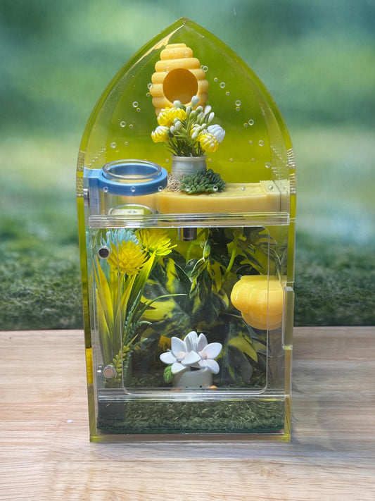 Decorated Acrylic Jumping Spider Enclosure, Front Opening Habitat (8x4x4)