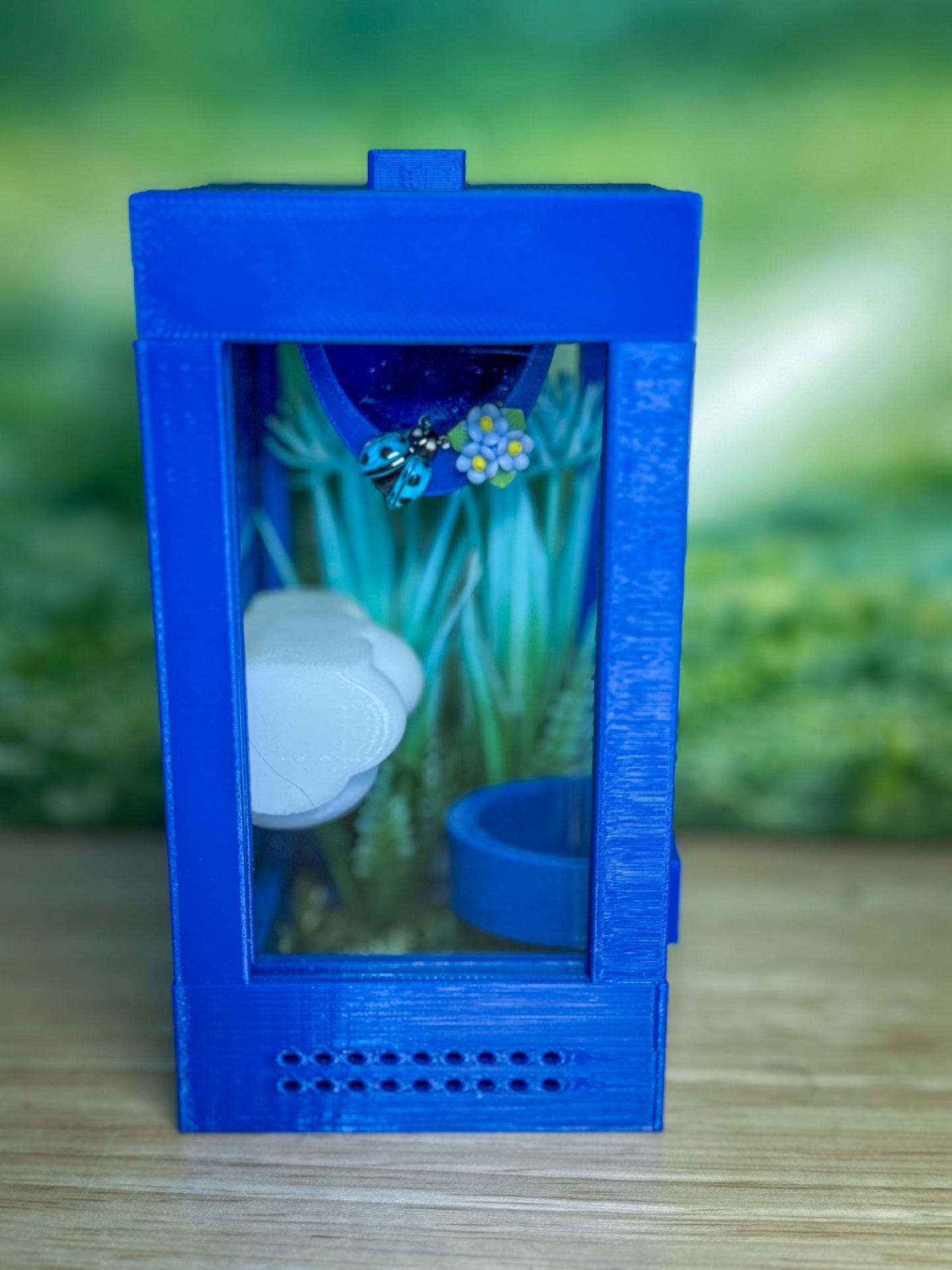 Decorated Sling Jumping Spider Enclosure with food dish and shelf