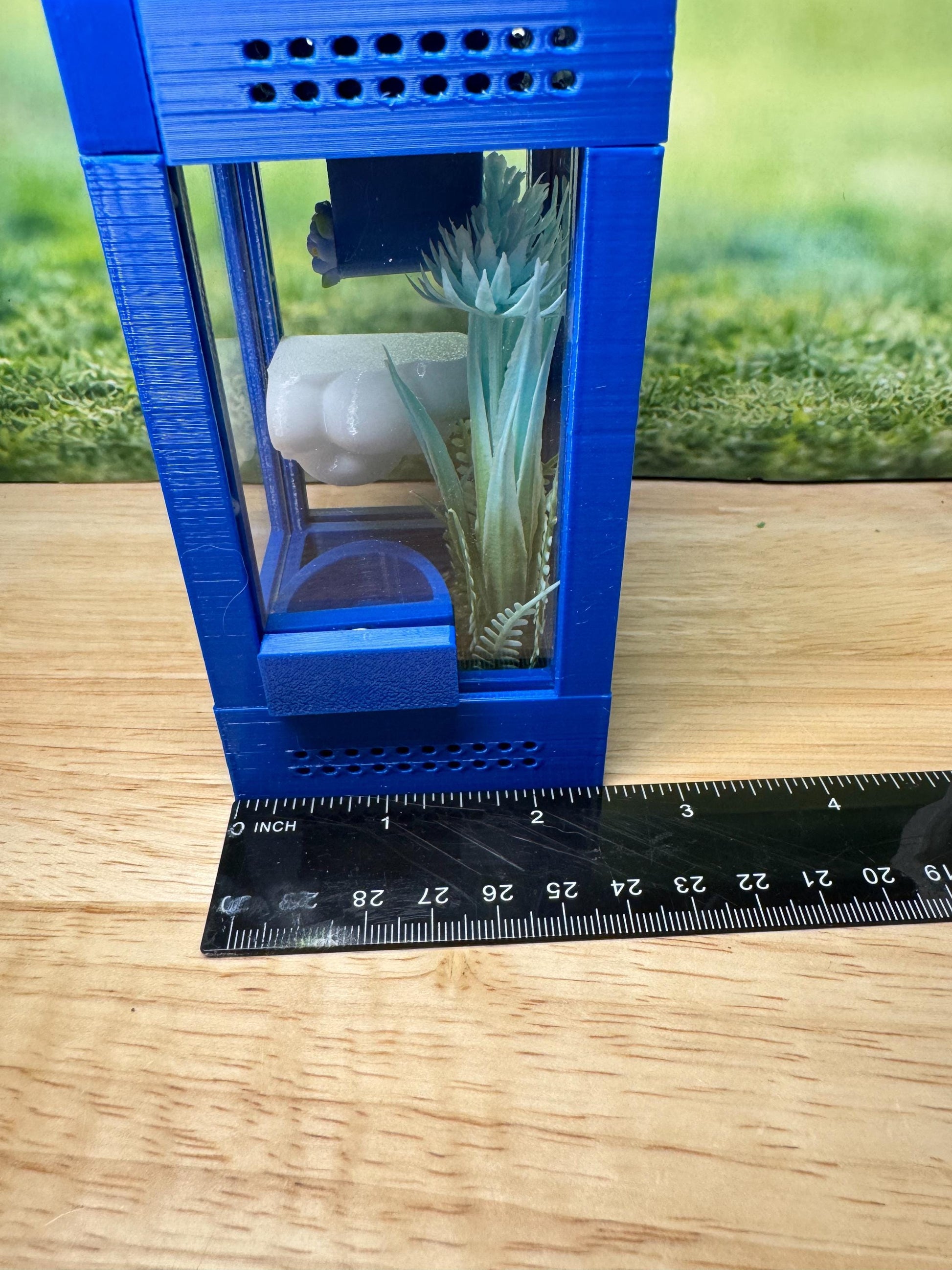 Decorated Sling Jumping Spider Enclosure with food dish and shelf