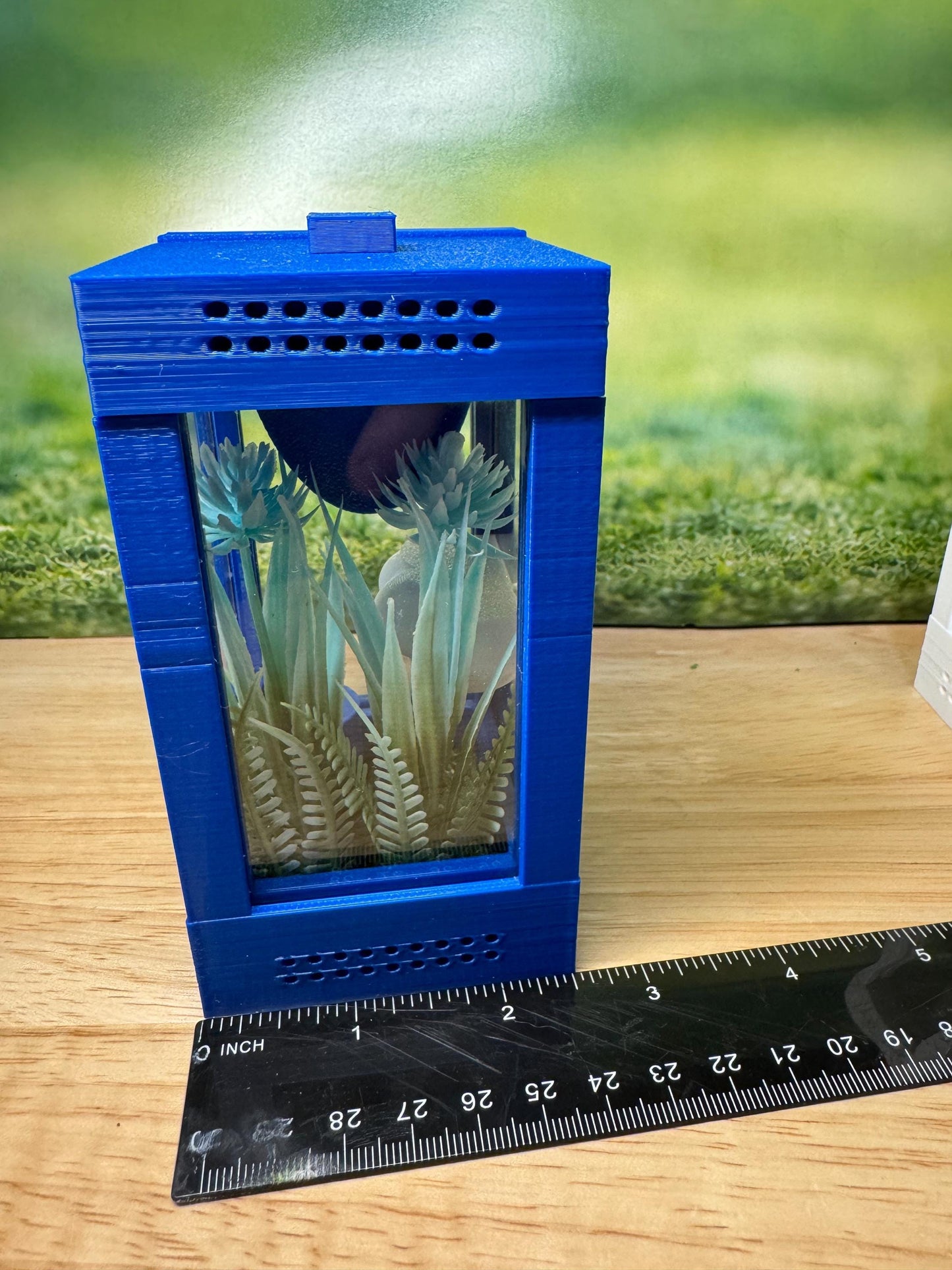 Decorated Sling Jumping Spider Enclosure with food dish and shelf