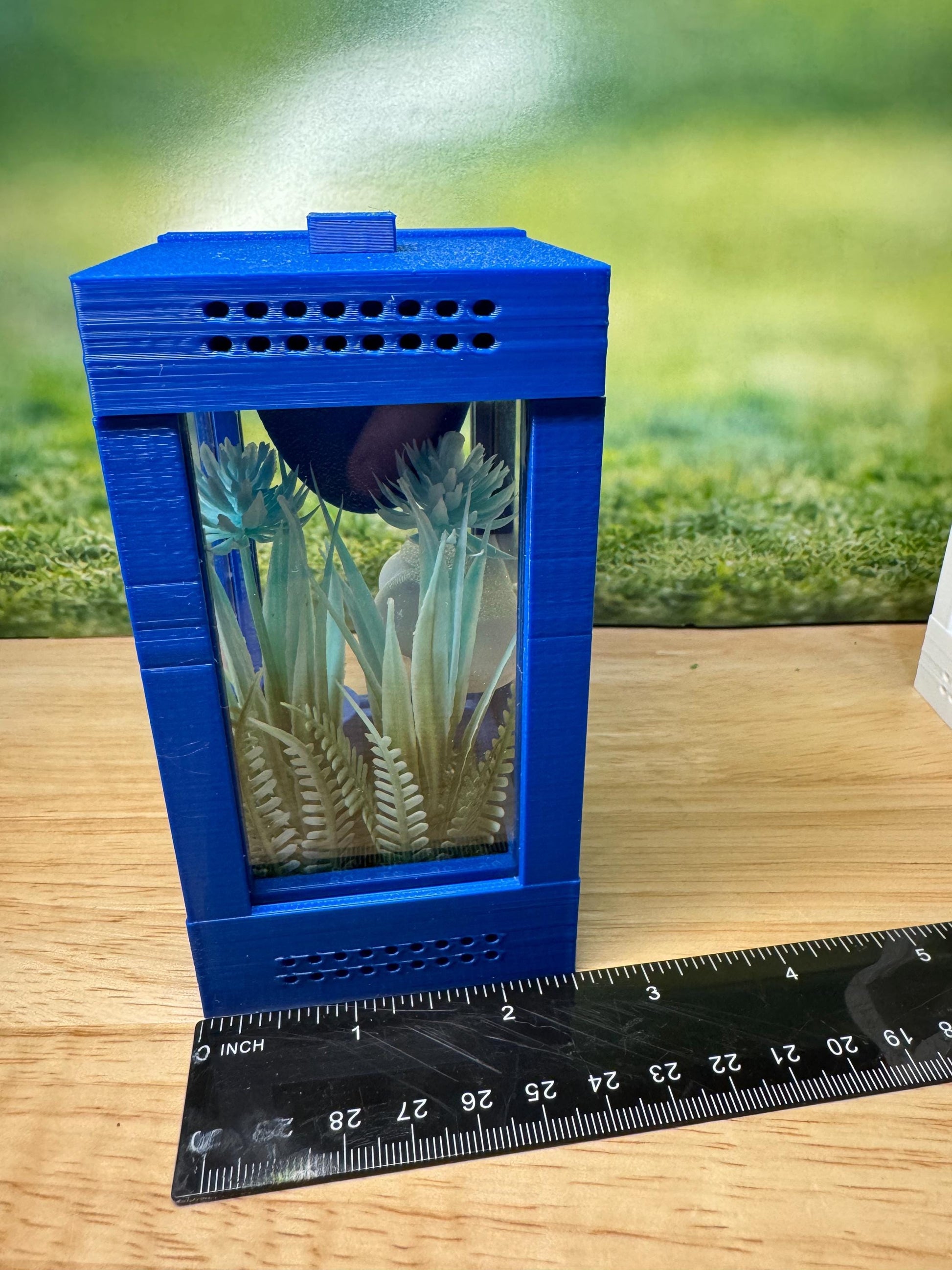 Decorated Sling Jumping Spider Enclosure with food dish and shelf