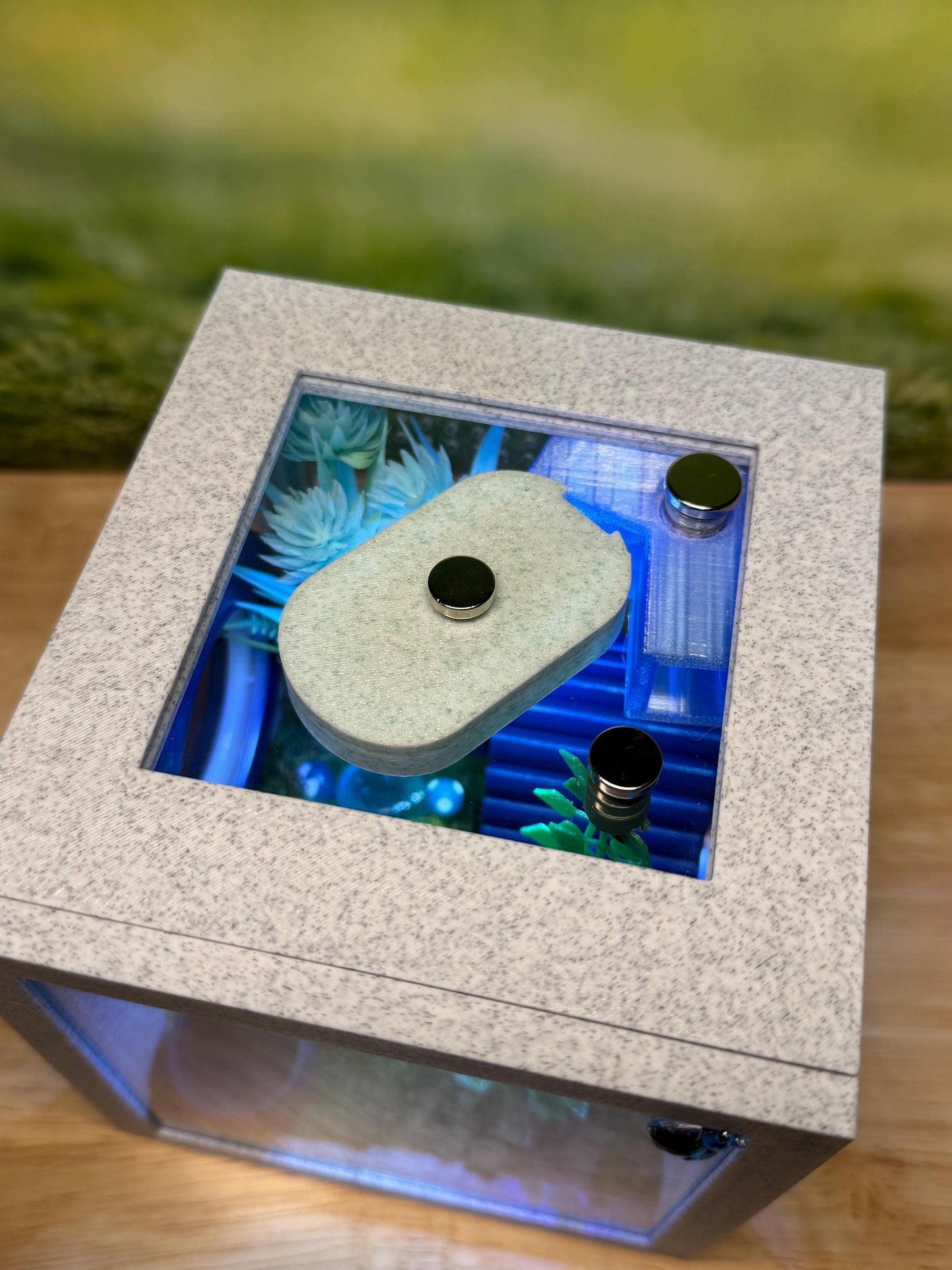 Jumping Spider Enclosure, Front Opening Habitat (4.5x4.5x4.25) Blue Marble
