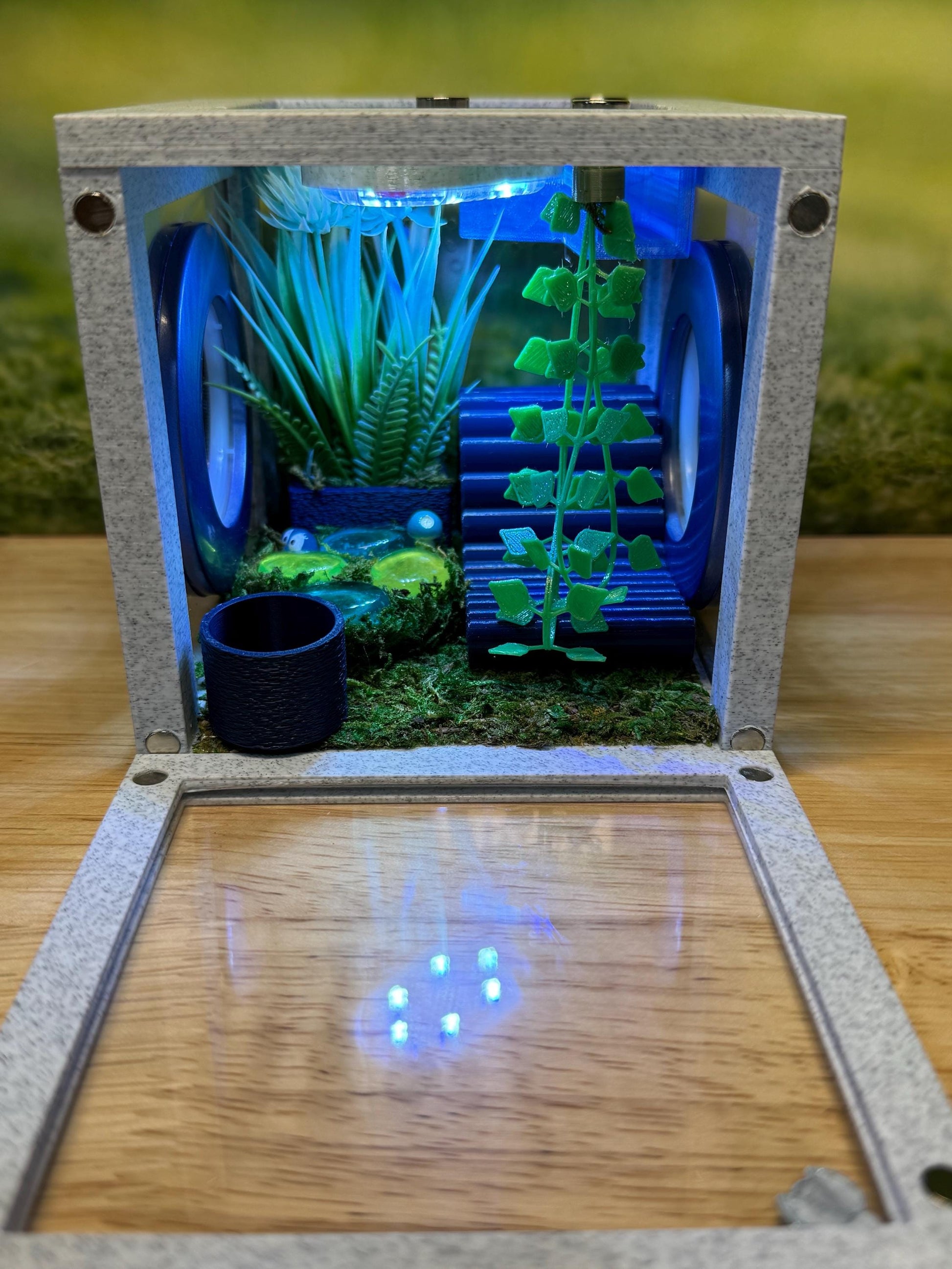 Jumping Spider Enclosure, Front Opening Habitat (4.5x4.5x4.25) Blue Marble