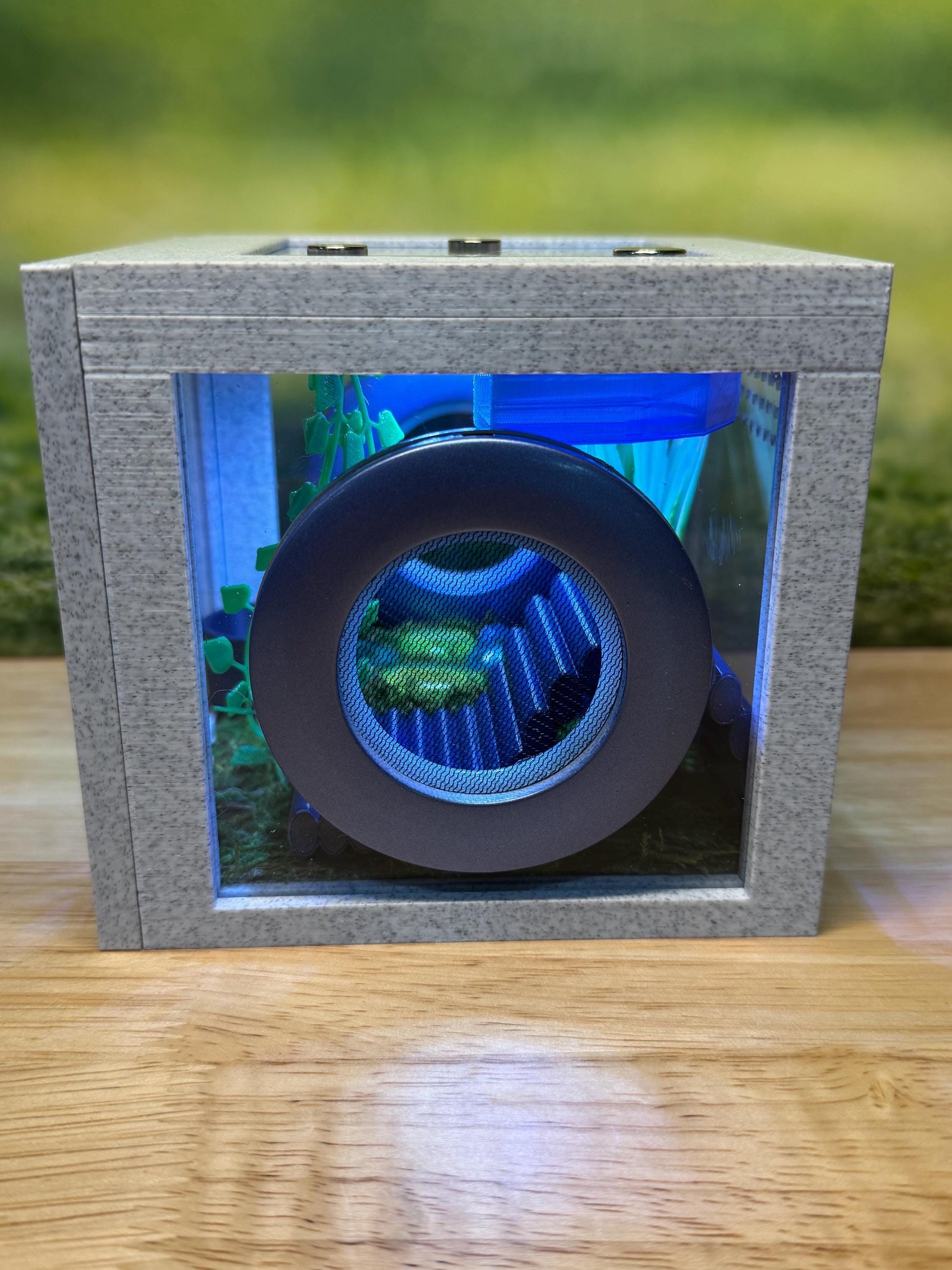 Jumping Spider Enclosure, Front Opening Habitat (4.5x4.5x4.25) Blue Marble