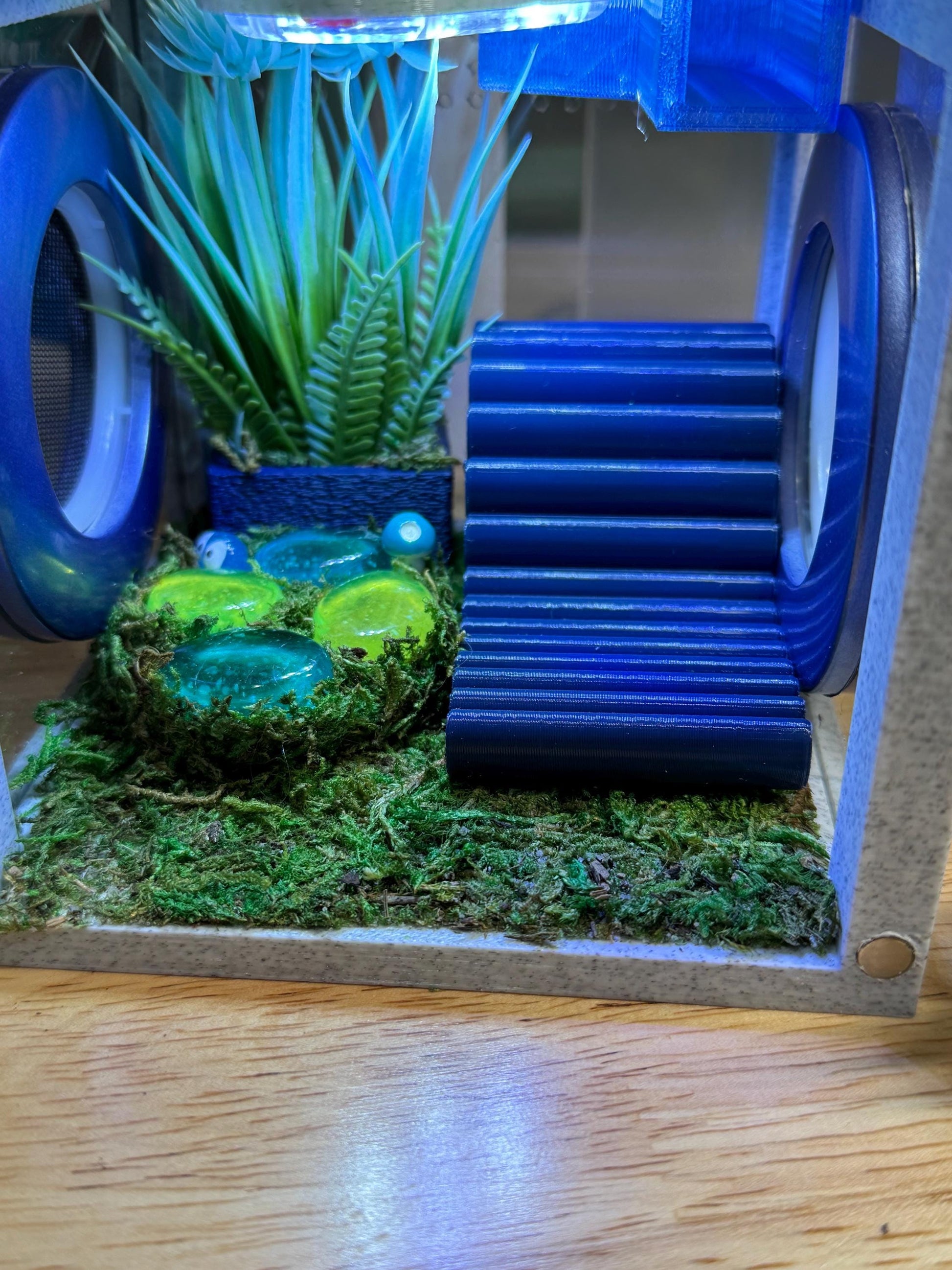 Jumping Spider Enclosure, Front Opening Habitat (4.5x4.5x4.25) Blue Marble