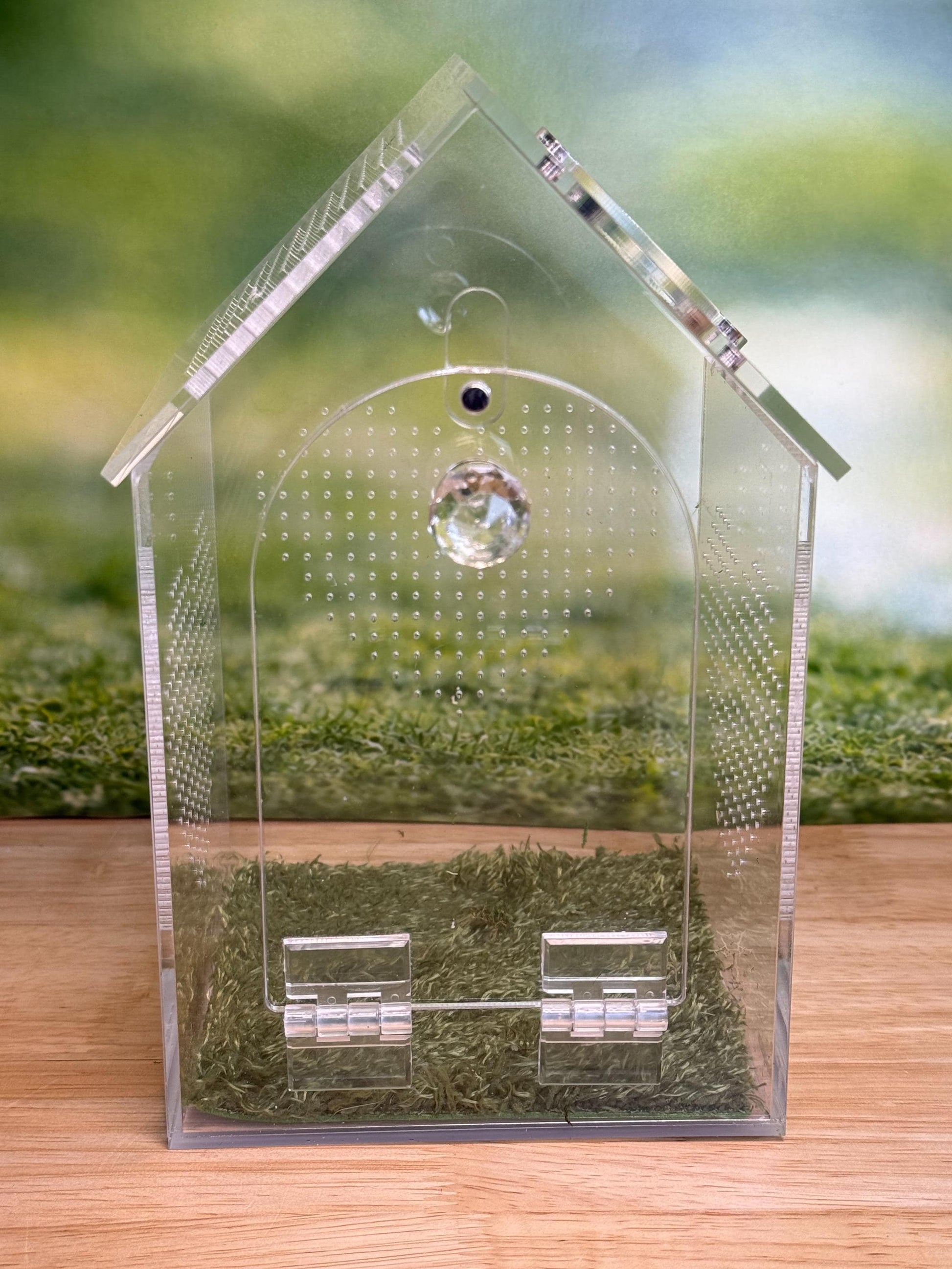 Decorated Acrylic Jumping Spider Enclosure, Front Opening Habitat (8x5x5)