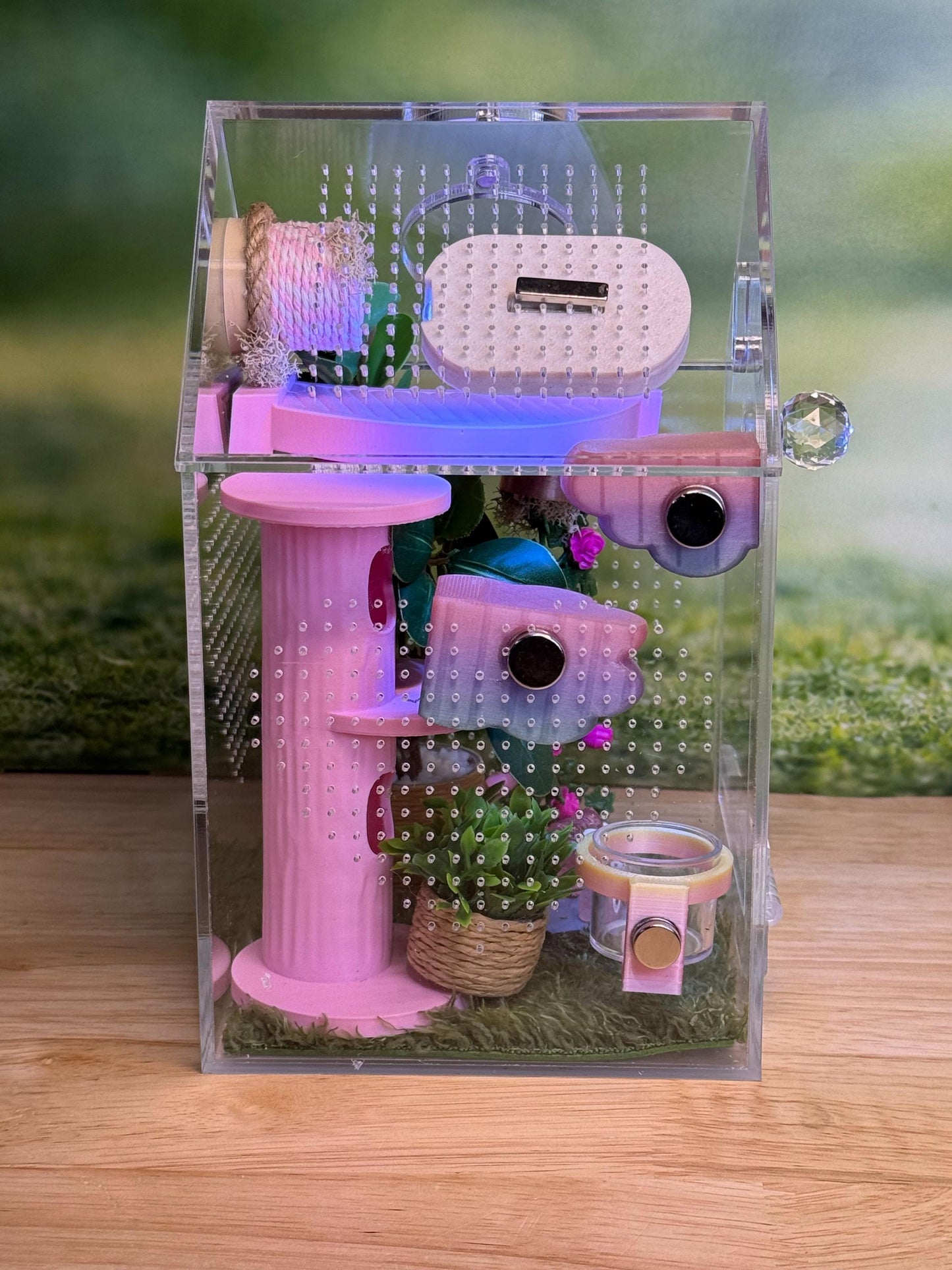 Decorated Acrylic Jumping Spider Enclosure, Front Opening Habitat (8x5x5)