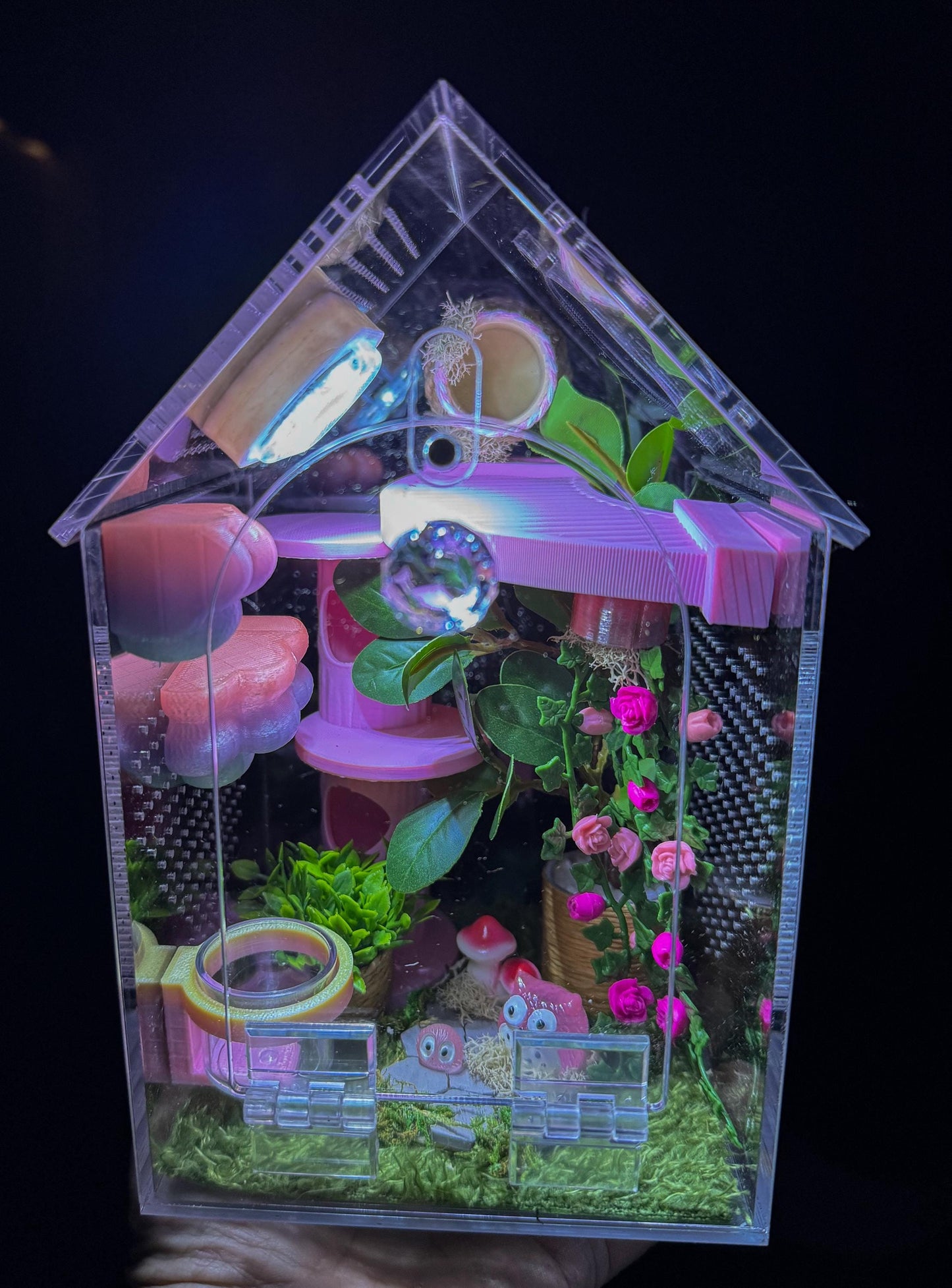 Decorated Acrylic Jumping Spider Enclosure, Front Opening Habitat (8x5x5)