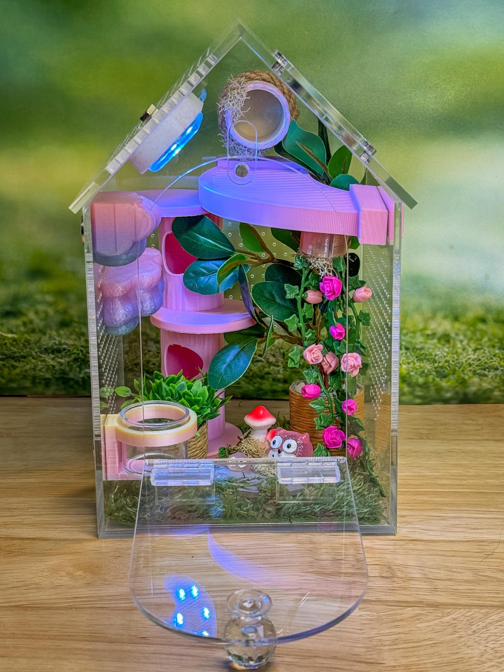 Decorated Acrylic Jumping Spider Enclosure, Front Opening Habitat (8x5x5)