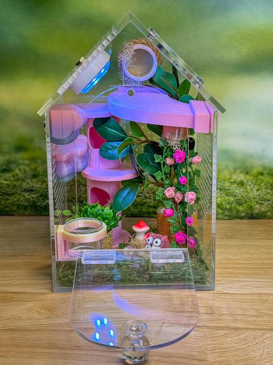 Decorated Acrylic Jumping Spider Enclosure, Front Opening Habitat (8x5x5)