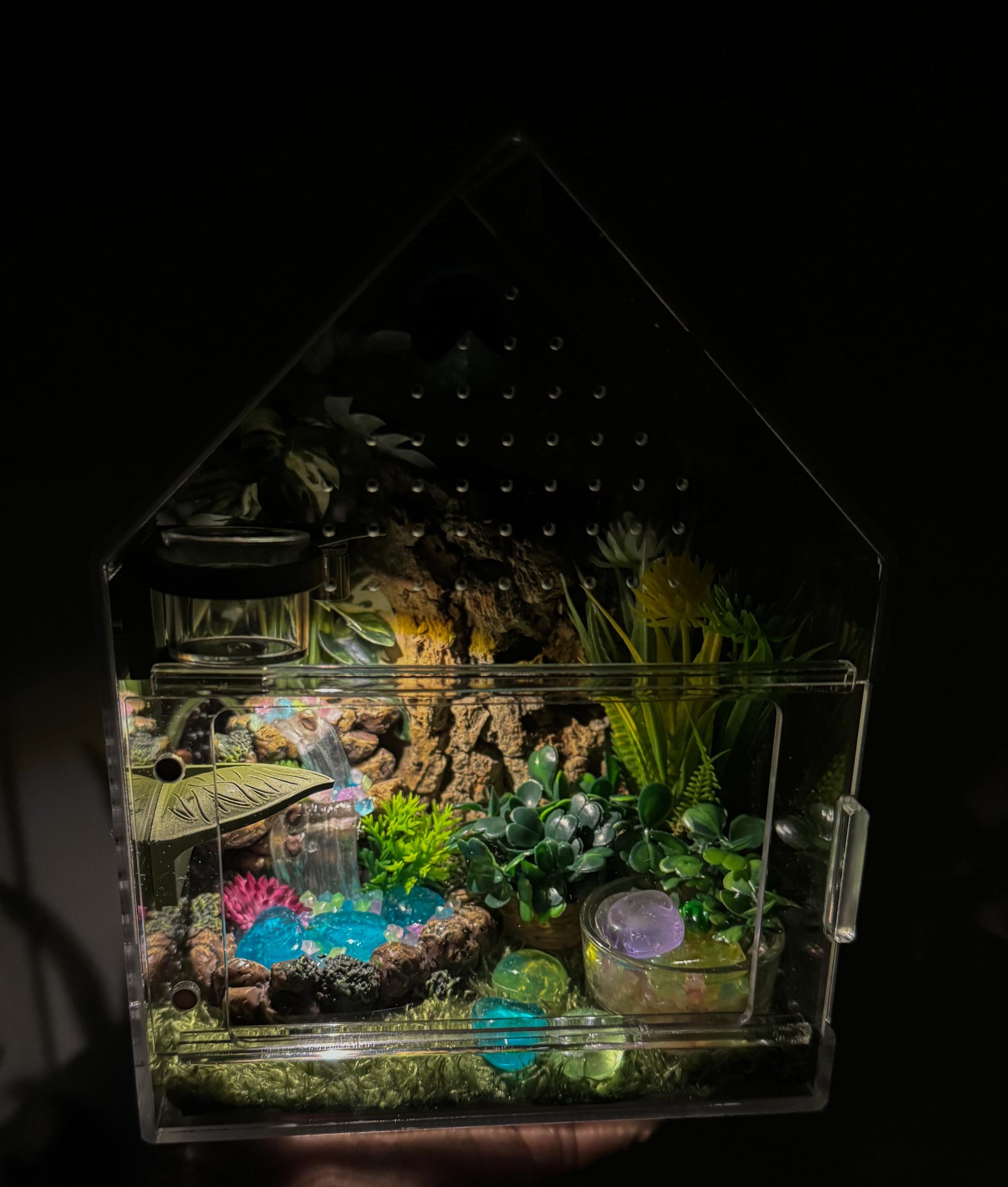 Large Decorated Acrylic Jumping Spider Enclosure, Front Opening Habitat (8x6x6)