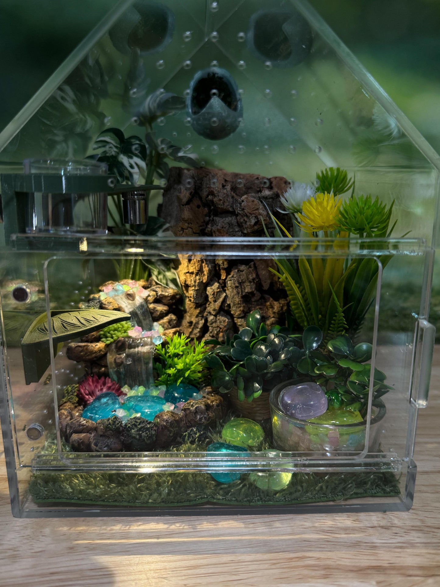 Large Decorated Acrylic Jumping Spider Enclosure, Front Opening Habitat (8x6x6)