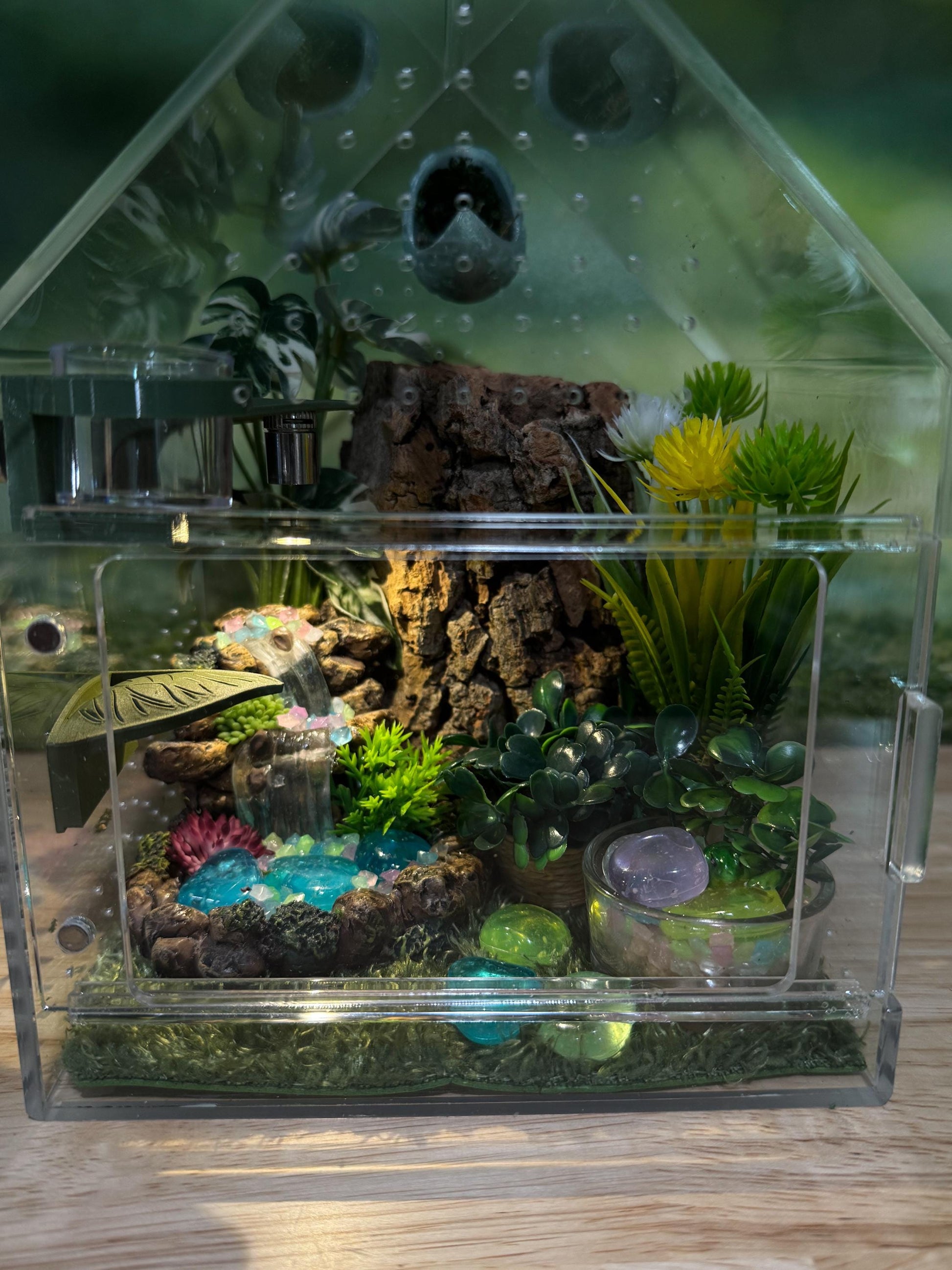Large Decorated Acrylic Jumping Spider Enclosure, Front Opening Habitat (8x6x6)
