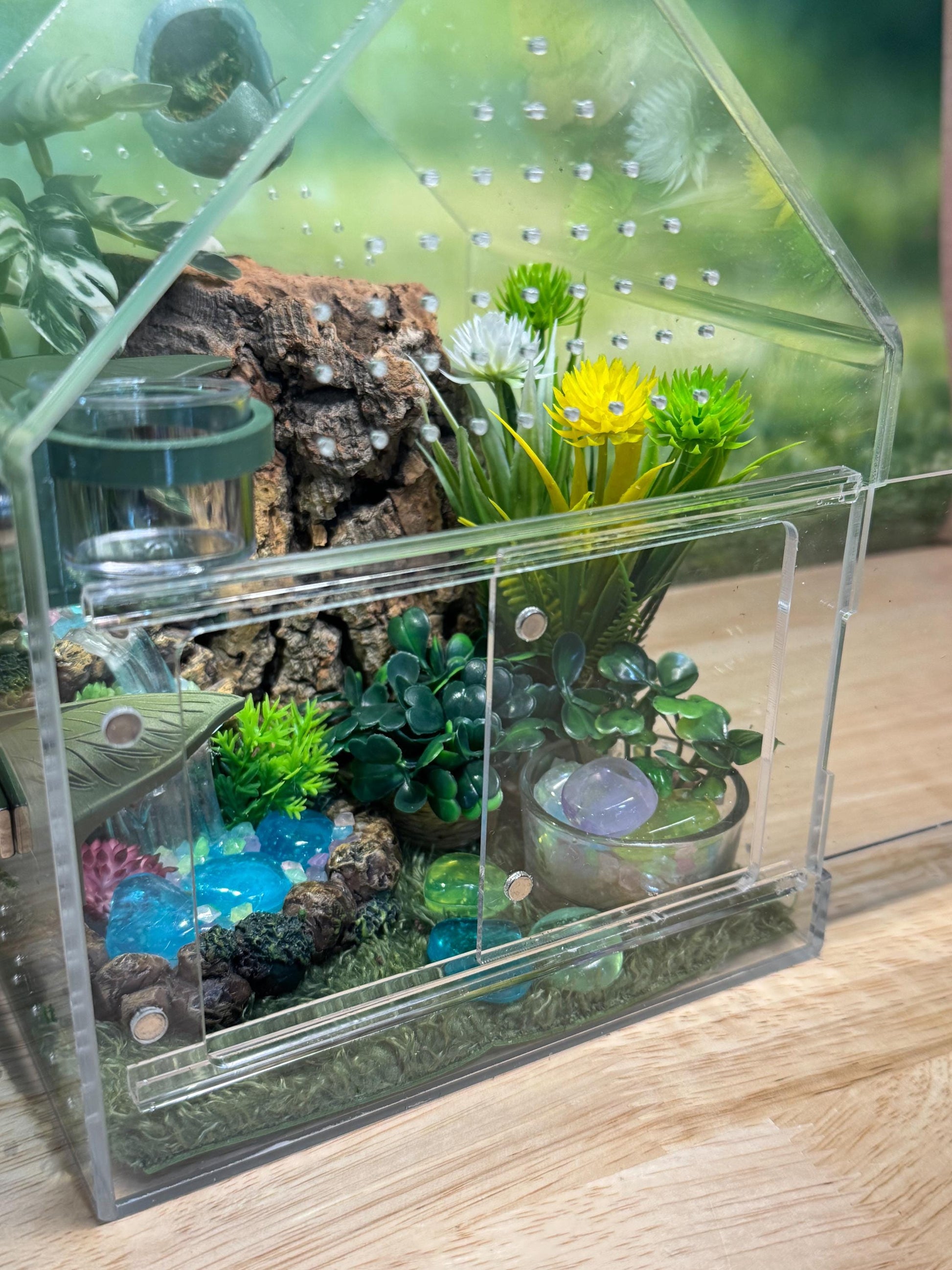 Large Decorated Acrylic Jumping Spider Enclosure, Front Opening Habitat (8x6x6)