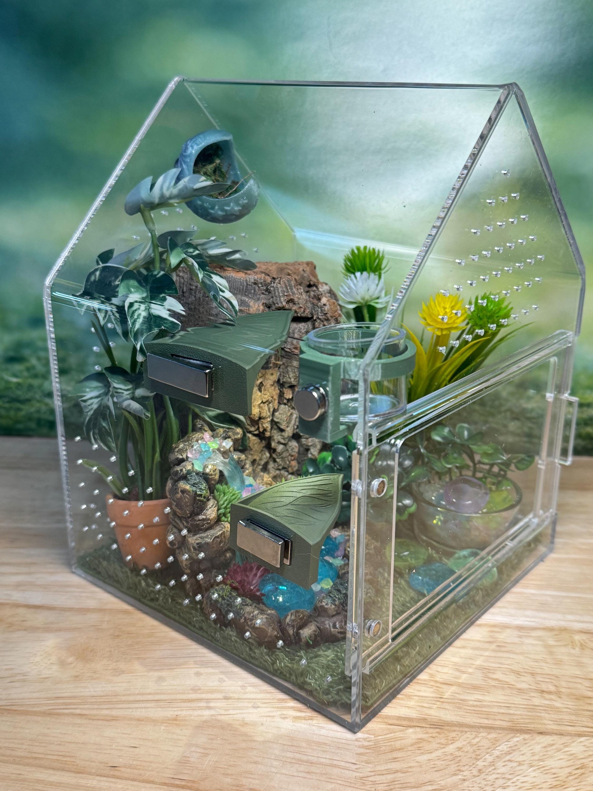 Large Decorated Acrylic Jumping Spider Enclosure, Front Opening Habitat (8x6x6)