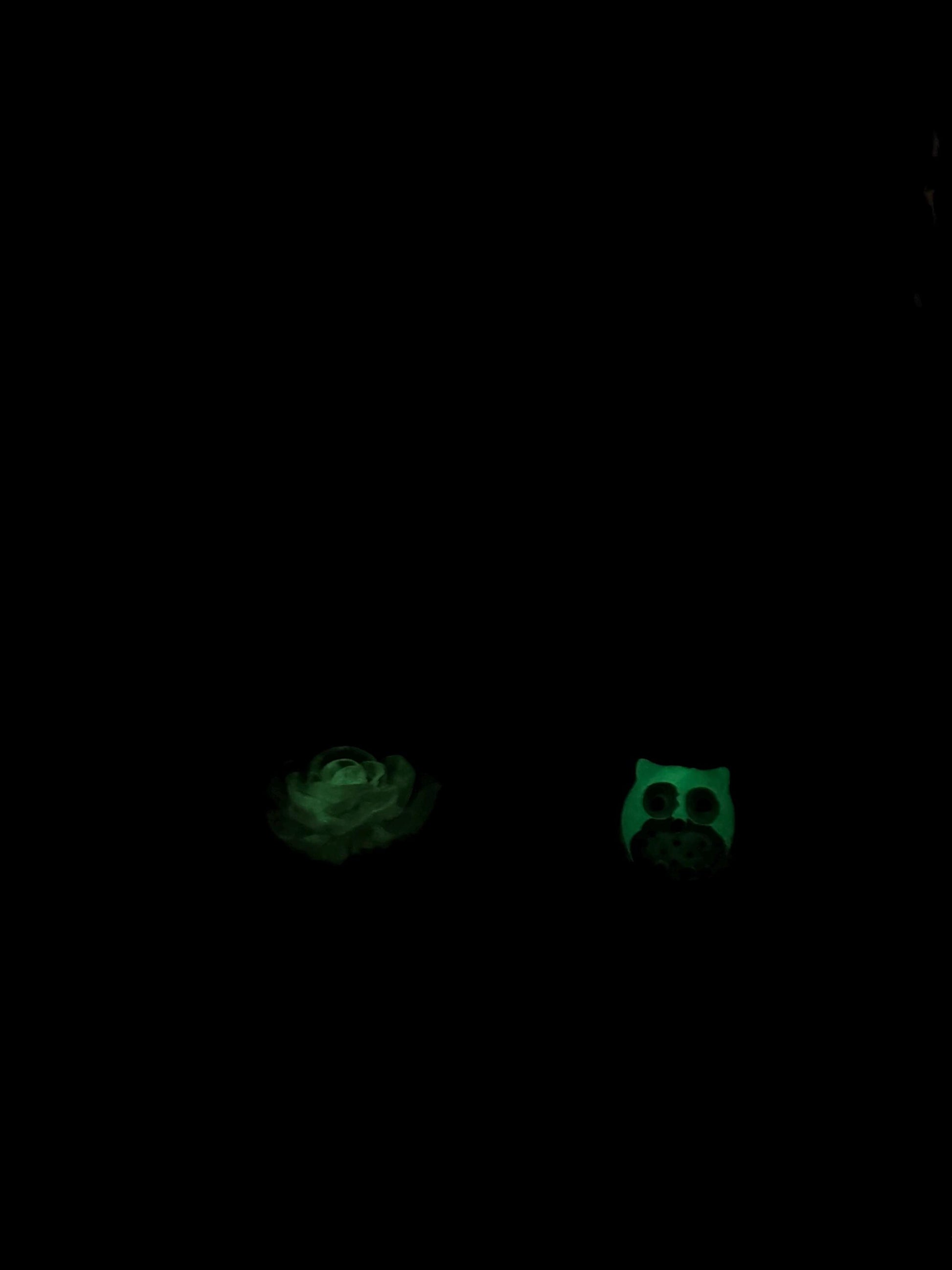 Large Decorated Acrylic Jumping Spider Enclosure, Front Opening Habitat (8x6x6)