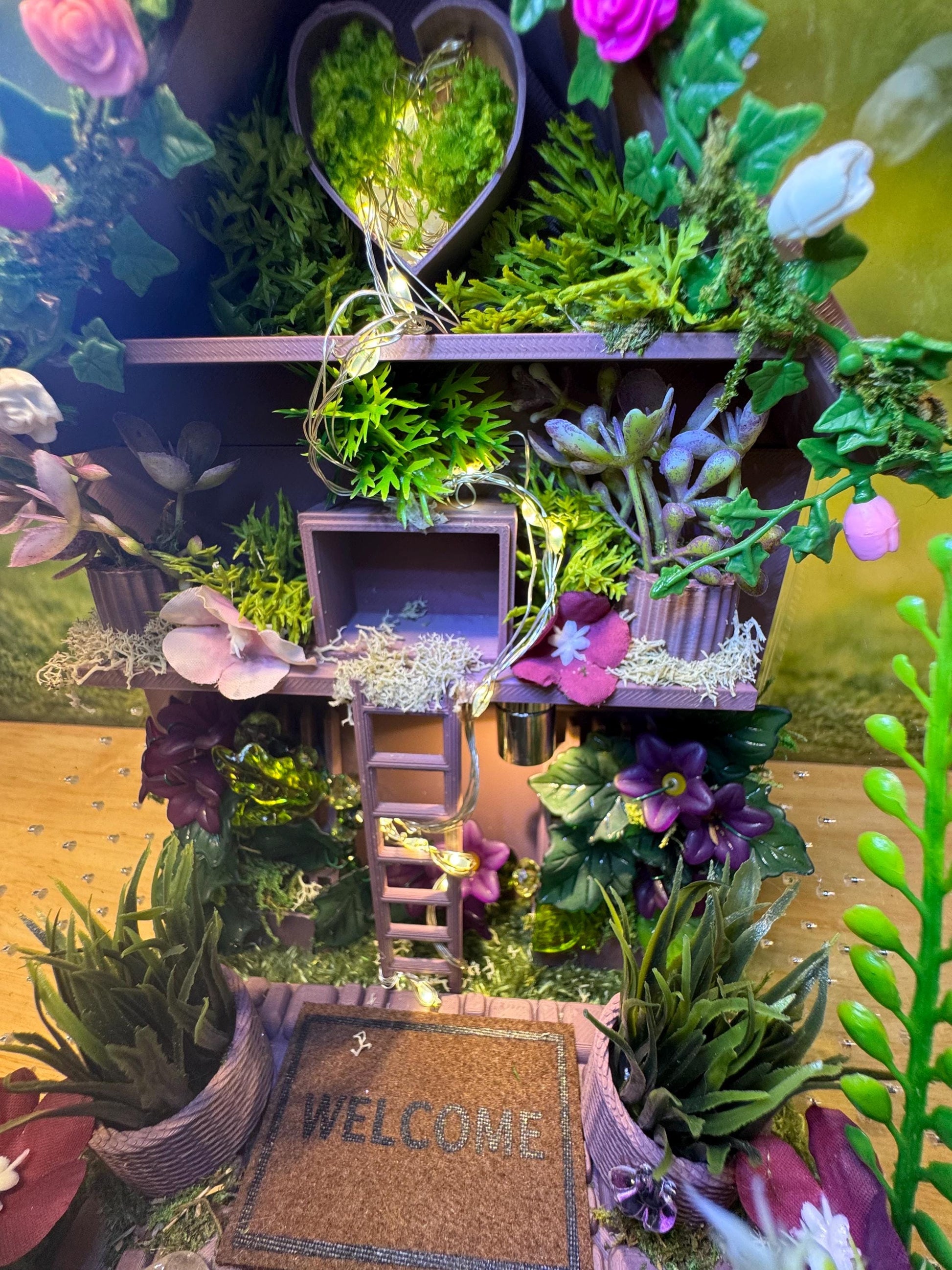 Large Decorated Acrylic Jumping Spider Enclosure, Front Opening Habitat (8x6x6)