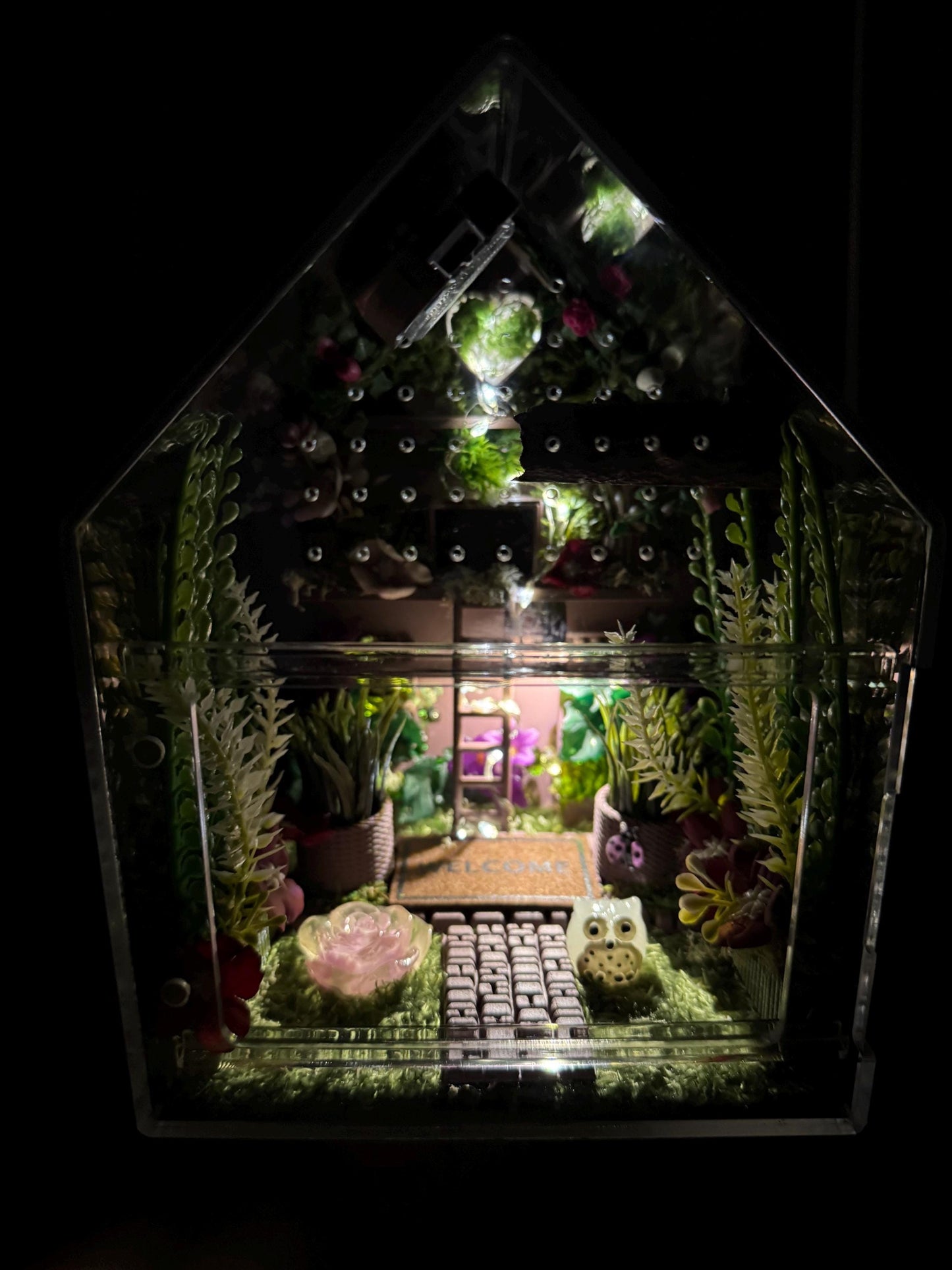 Large Decorated Acrylic Jumping Spider Enclosure, Front Opening Habitat (8x6x6)