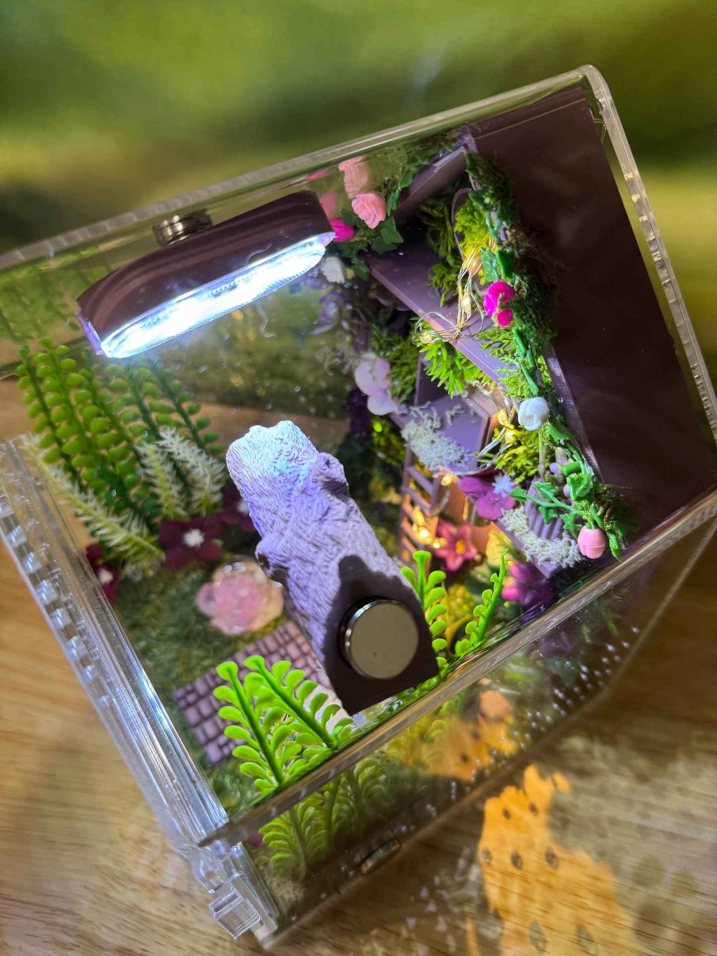 Large Decorated Acrylic Jumping Spider Enclosure, Front Opening Habitat (8x6x6)