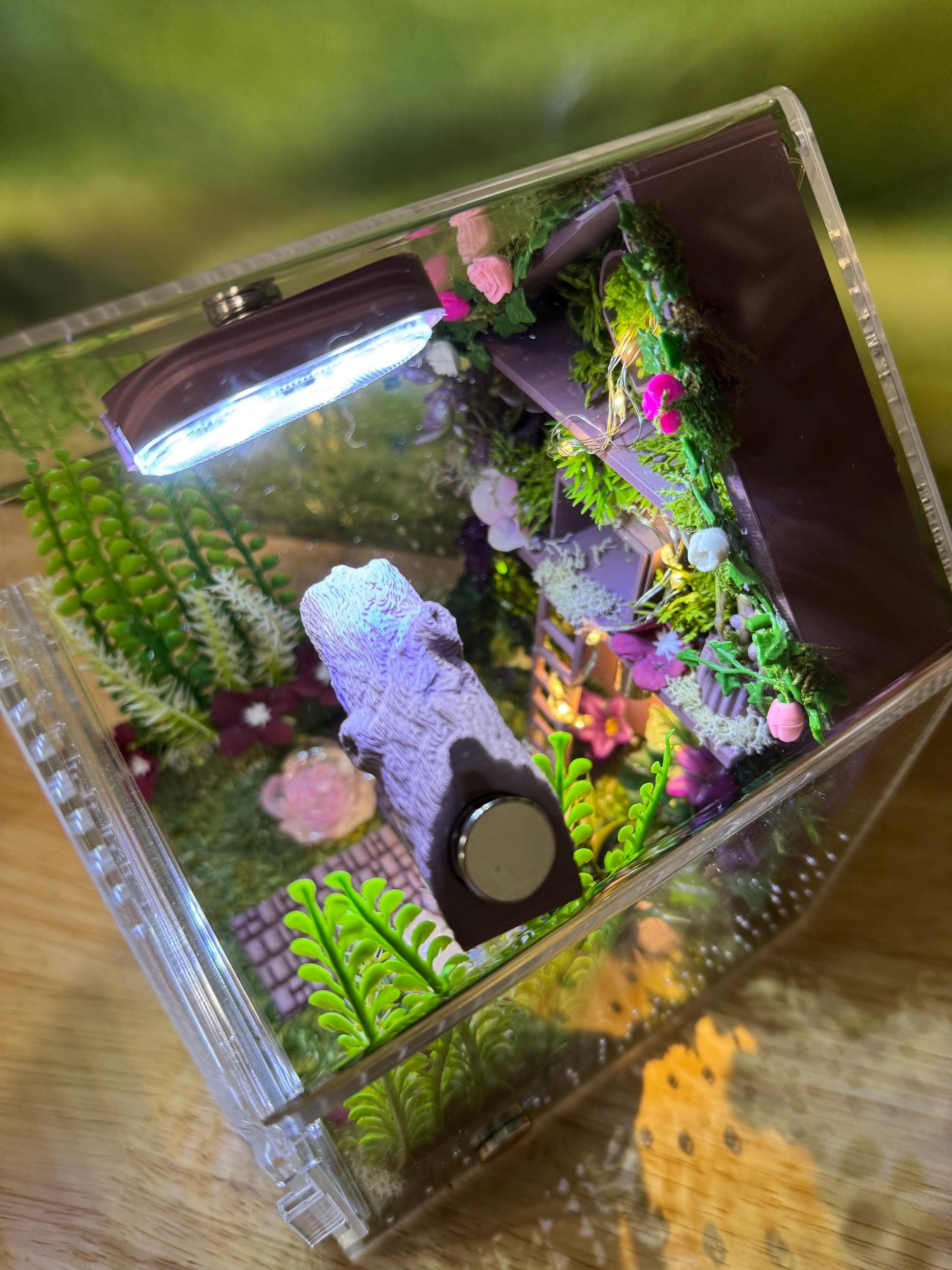 Large Decorated Acrylic Jumping Spider Enclosure, Front Opening Habitat (8x6x6)
