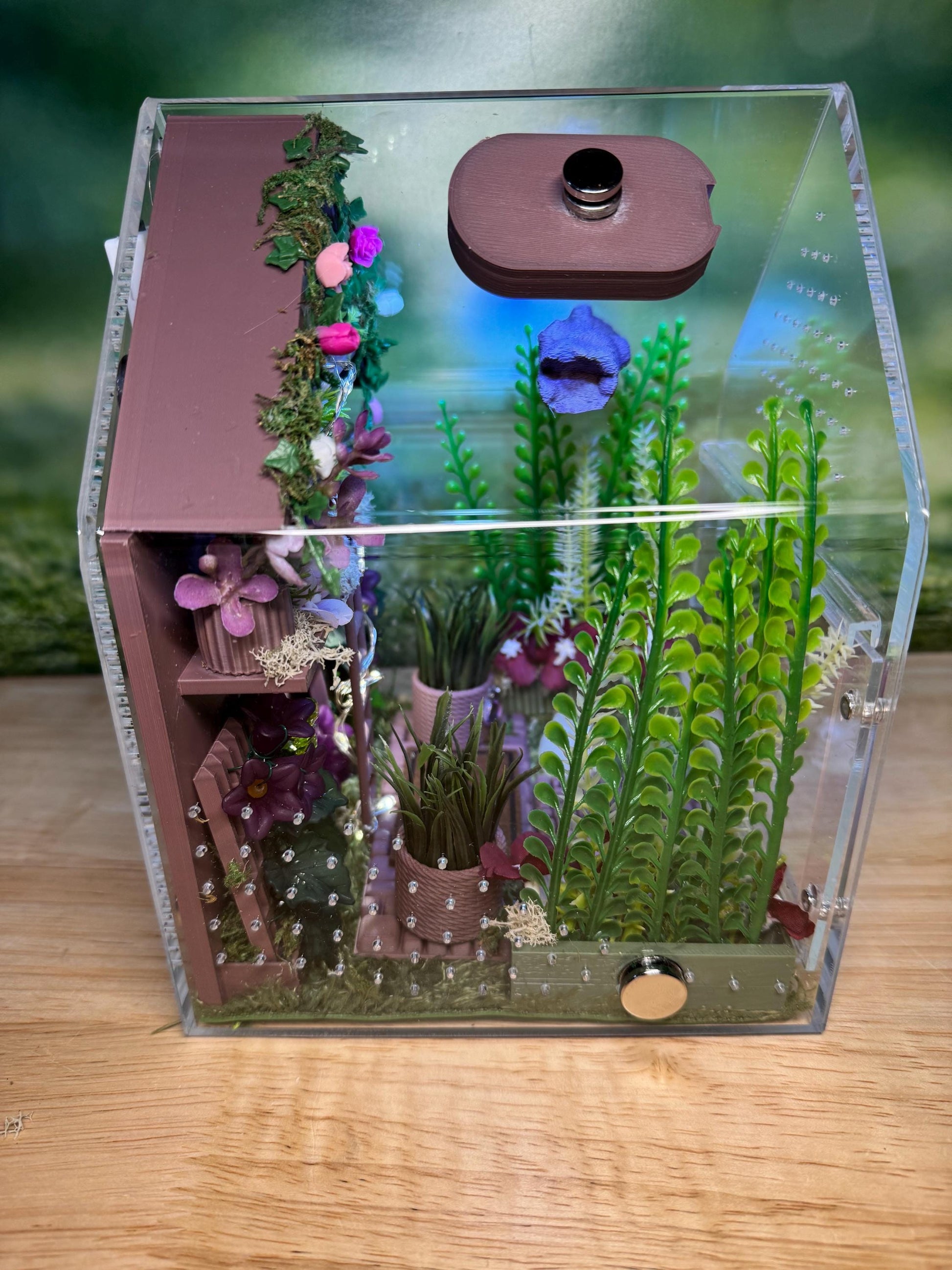 Large Decorated Acrylic Jumping Spider Enclosure, Front Opening Habitat (8x6x6)