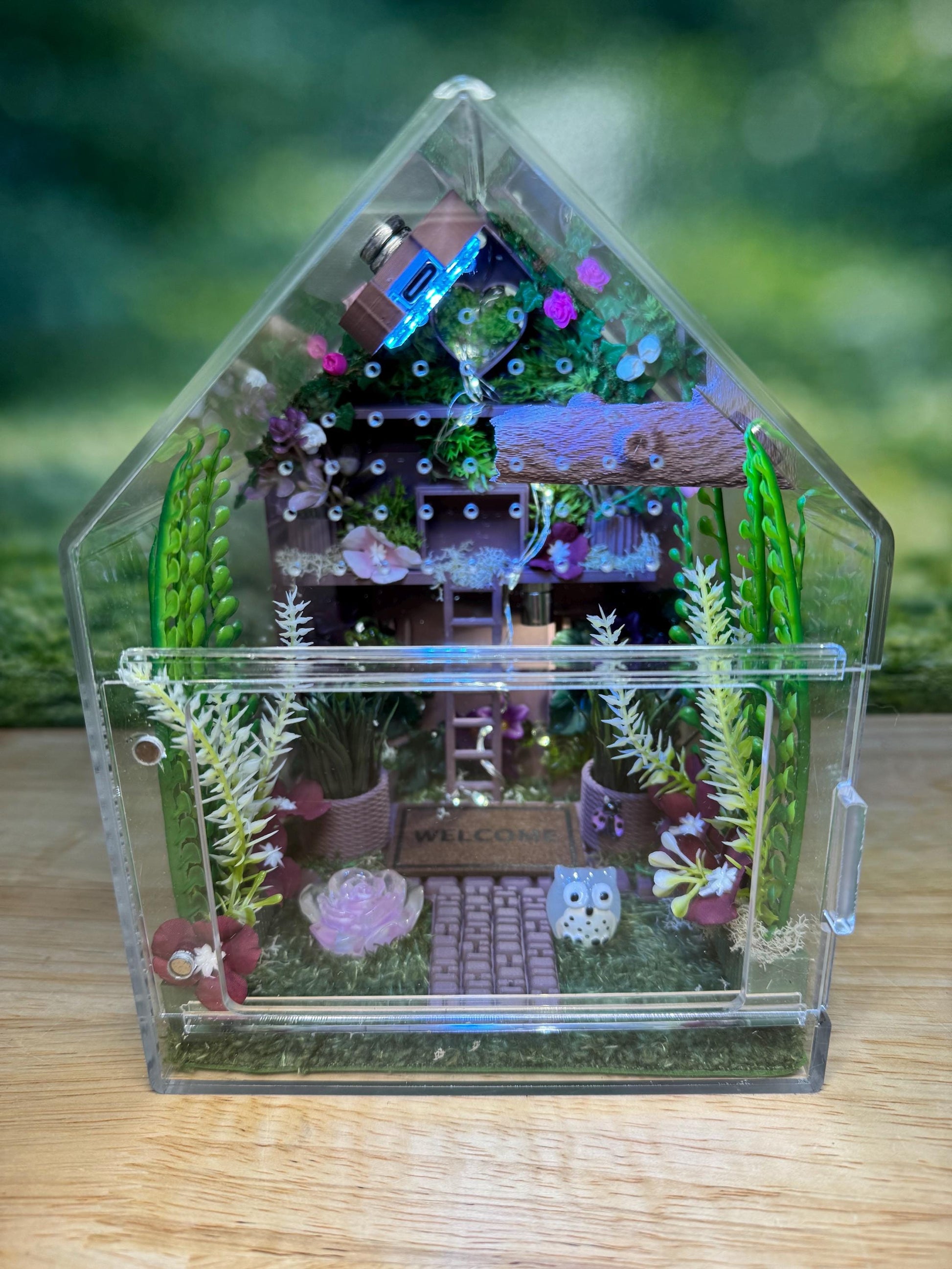 Large Decorated Acrylic Jumping Spider Enclosure, Front Opening Habitat (8x6x6)