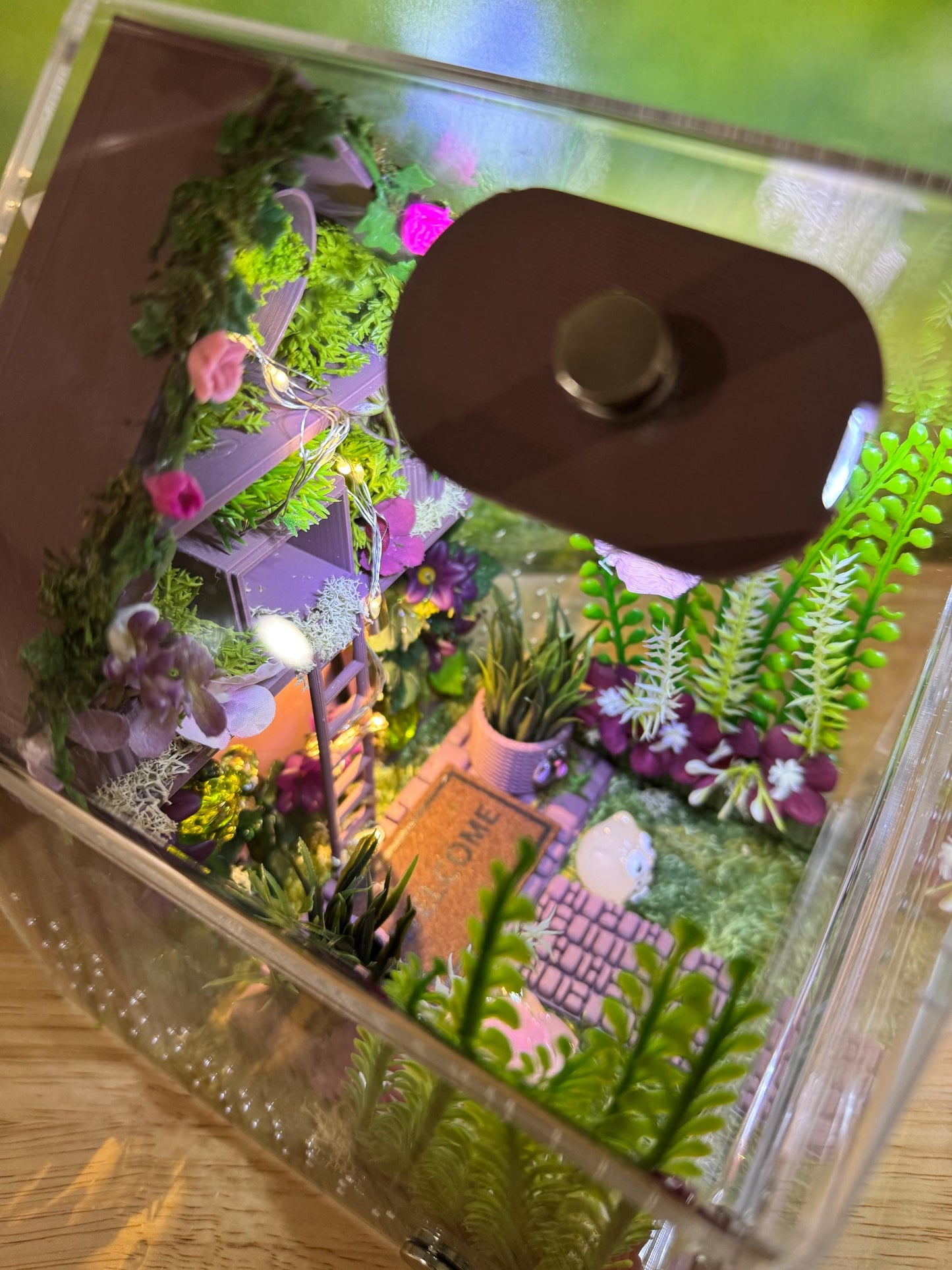 Large Decorated Acrylic Jumping Spider Enclosure, Front Opening Habitat (8x6x6)