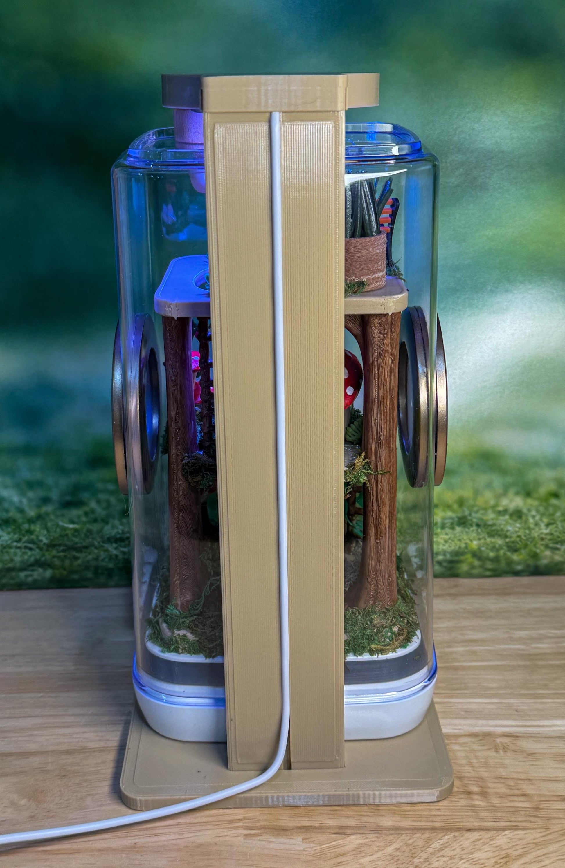 Decorated Jumping Spider Enclosure, 5x5x9, , READY TO SHIP, extra large spider house