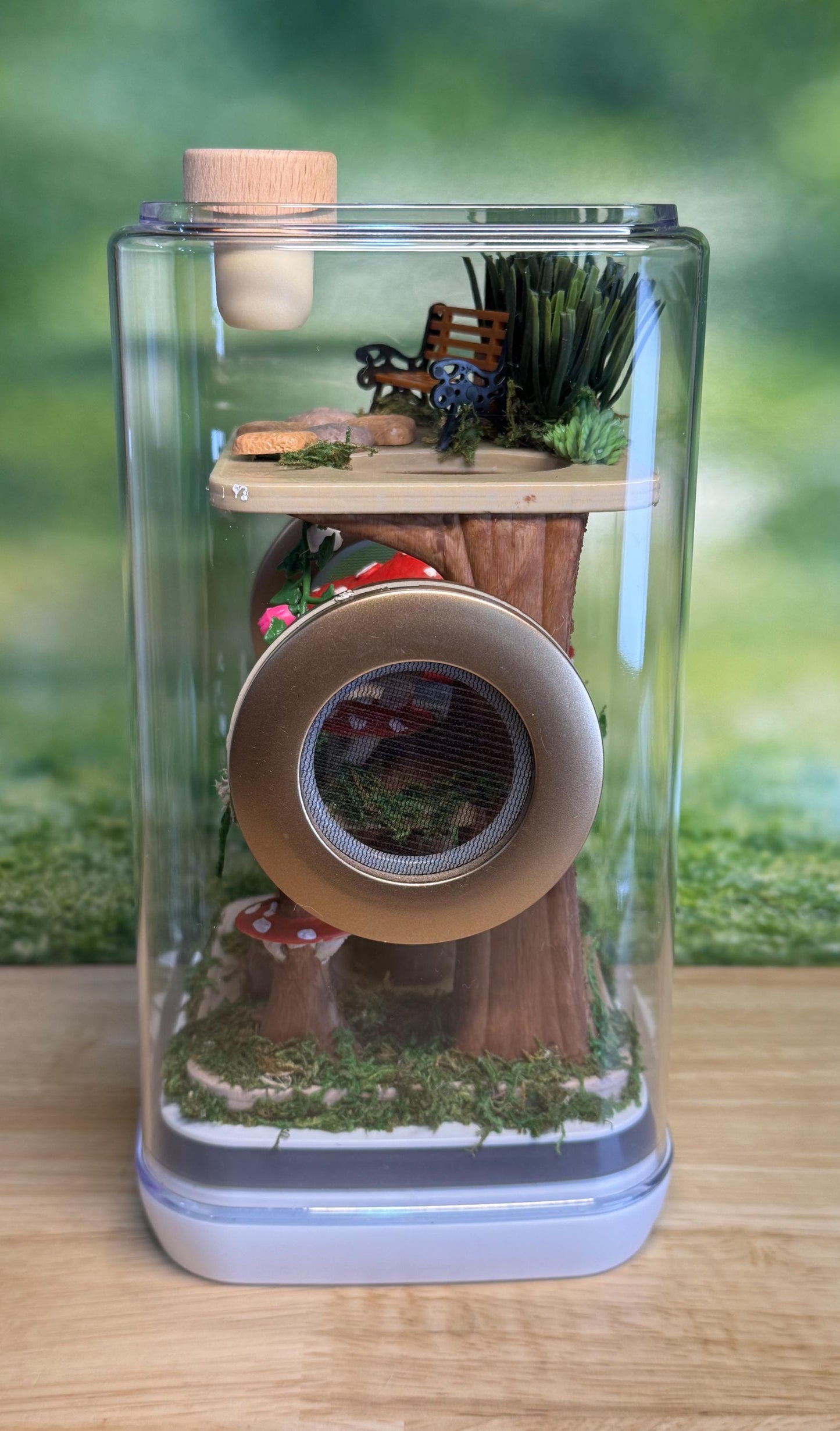 Decorated Jumping Spider Enclosure, 5x5x9, , READY TO SHIP, extra large spider house