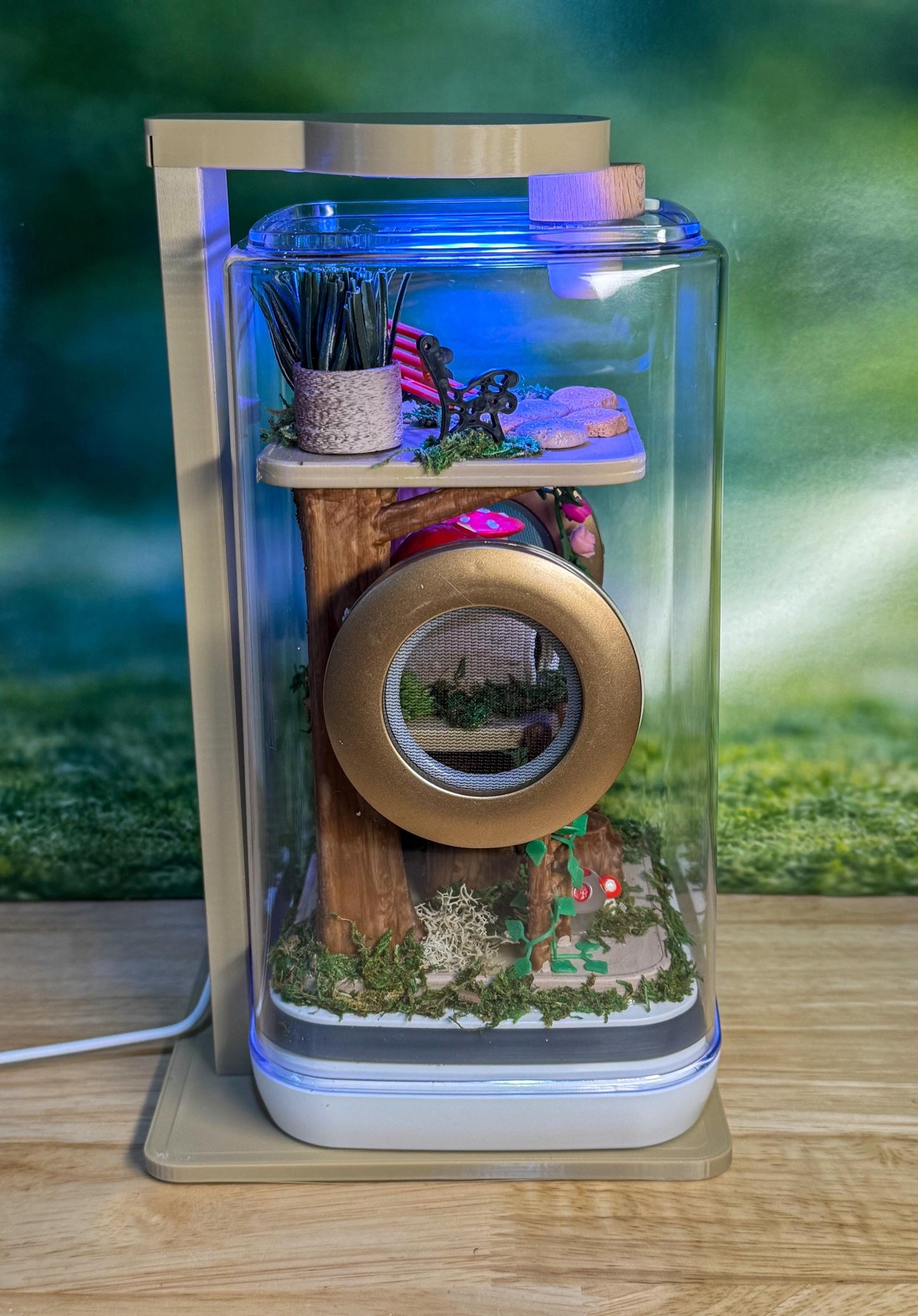 Decorated Jumping Spider Enclosure, 5x5x9, , READY TO SHIP, extra large spider house