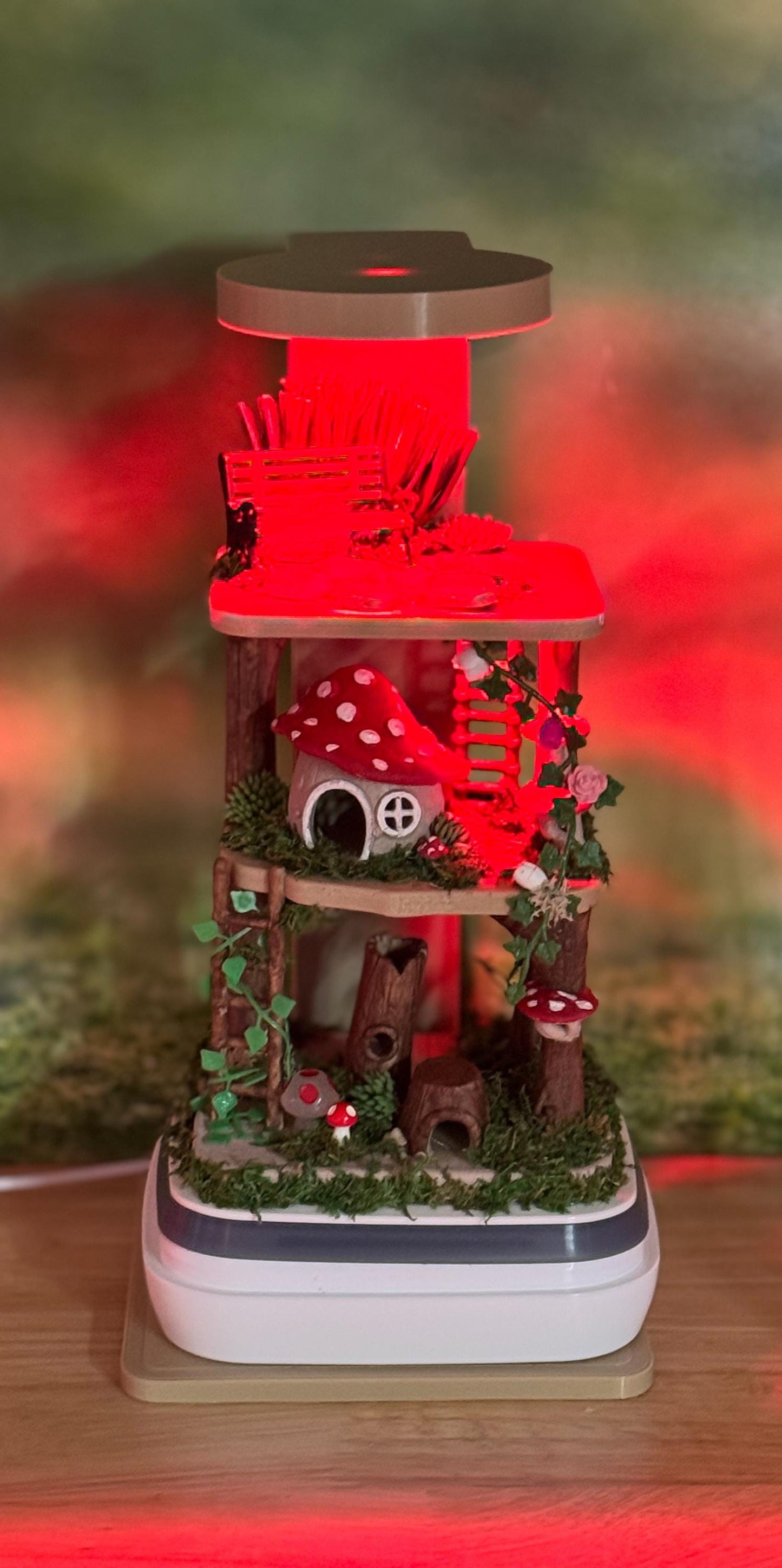 Decorated Jumping Spider Enclosure, 5x5x9, , READY TO SHIP, extra large spider house