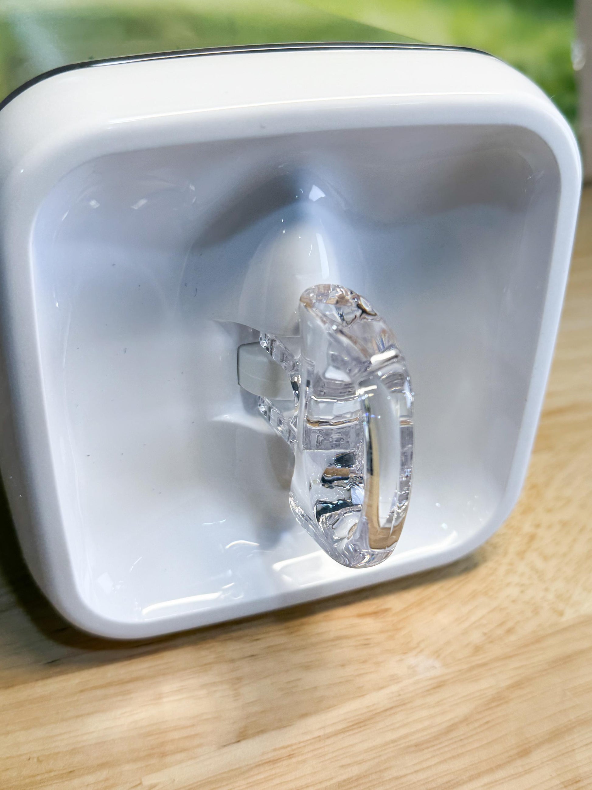 Decorated Jumping Spider Enclosure, 5x5x9, , READY TO SHIP, extra large spider house