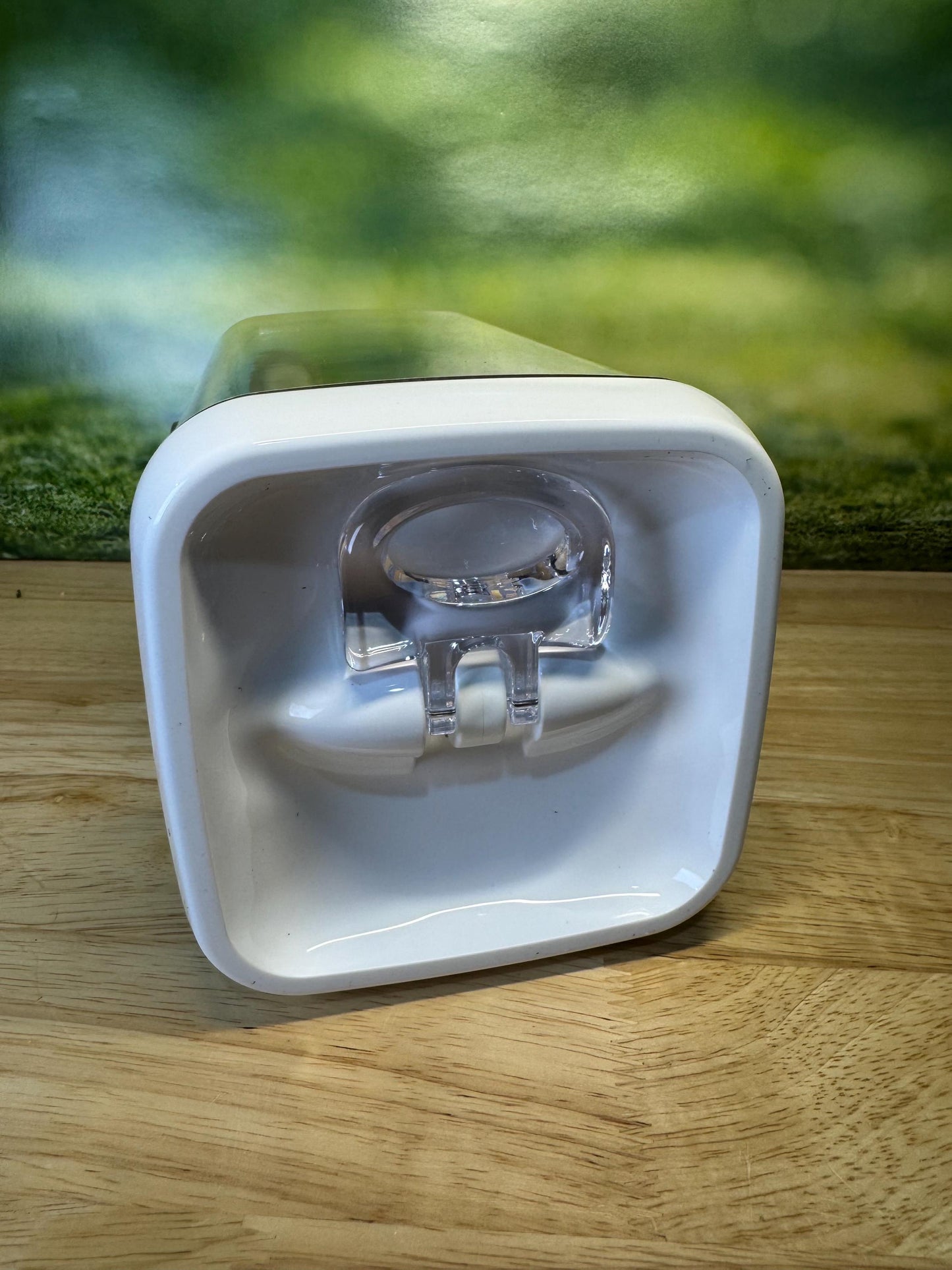 Decorated Jumping Spider Enclosure, 5x5x9, , READY TO SHIP, extra large spider house